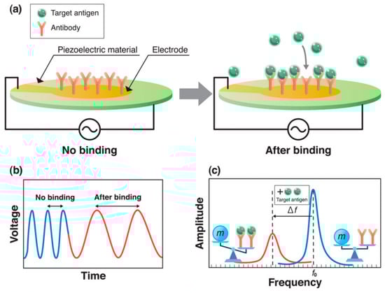 Molecules 27 07327 g004