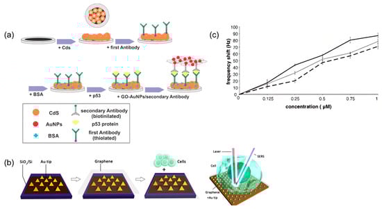 Molecules 27 07327 g010