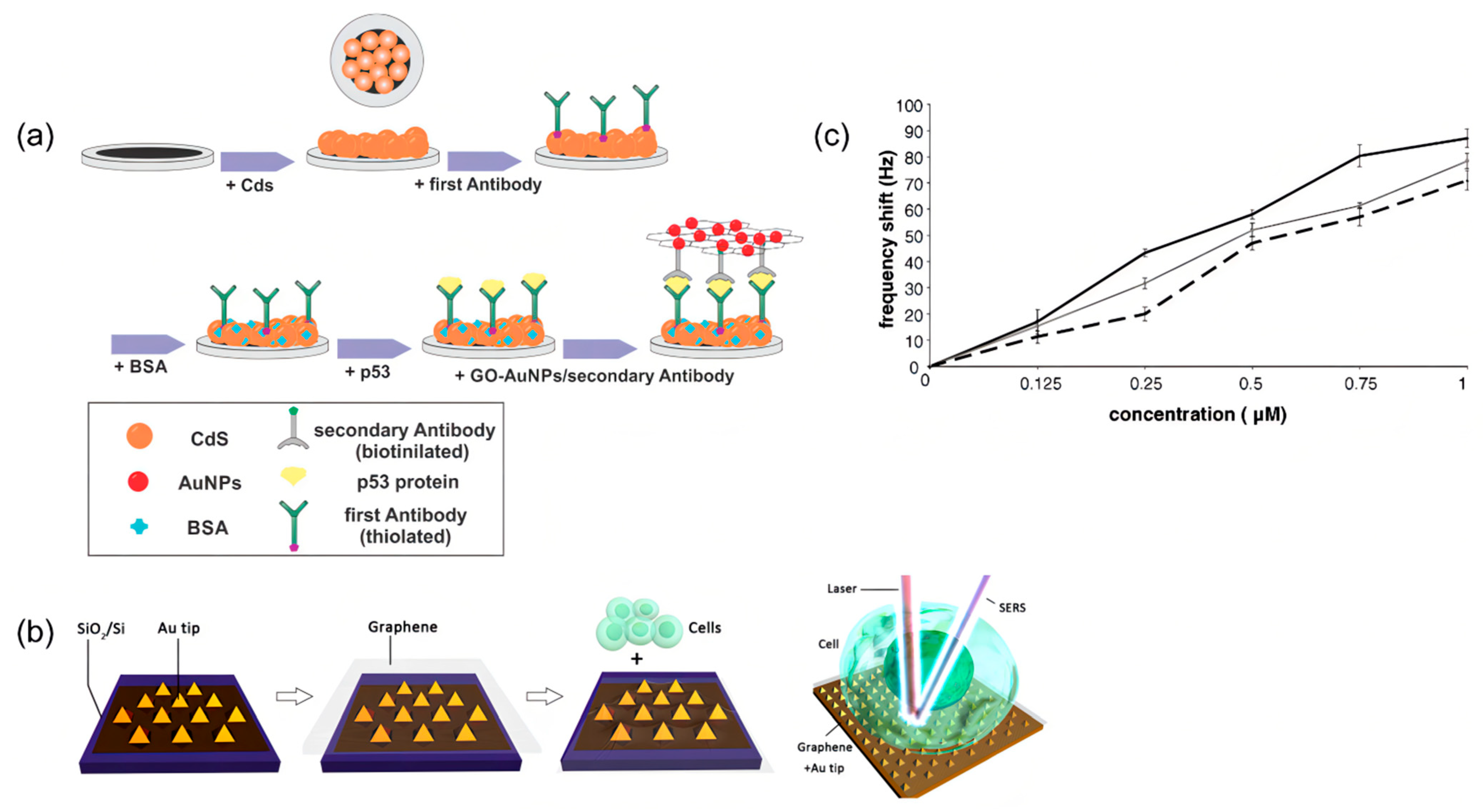 Molecules 27 07327 g010 Molecules 27 07327 g010
