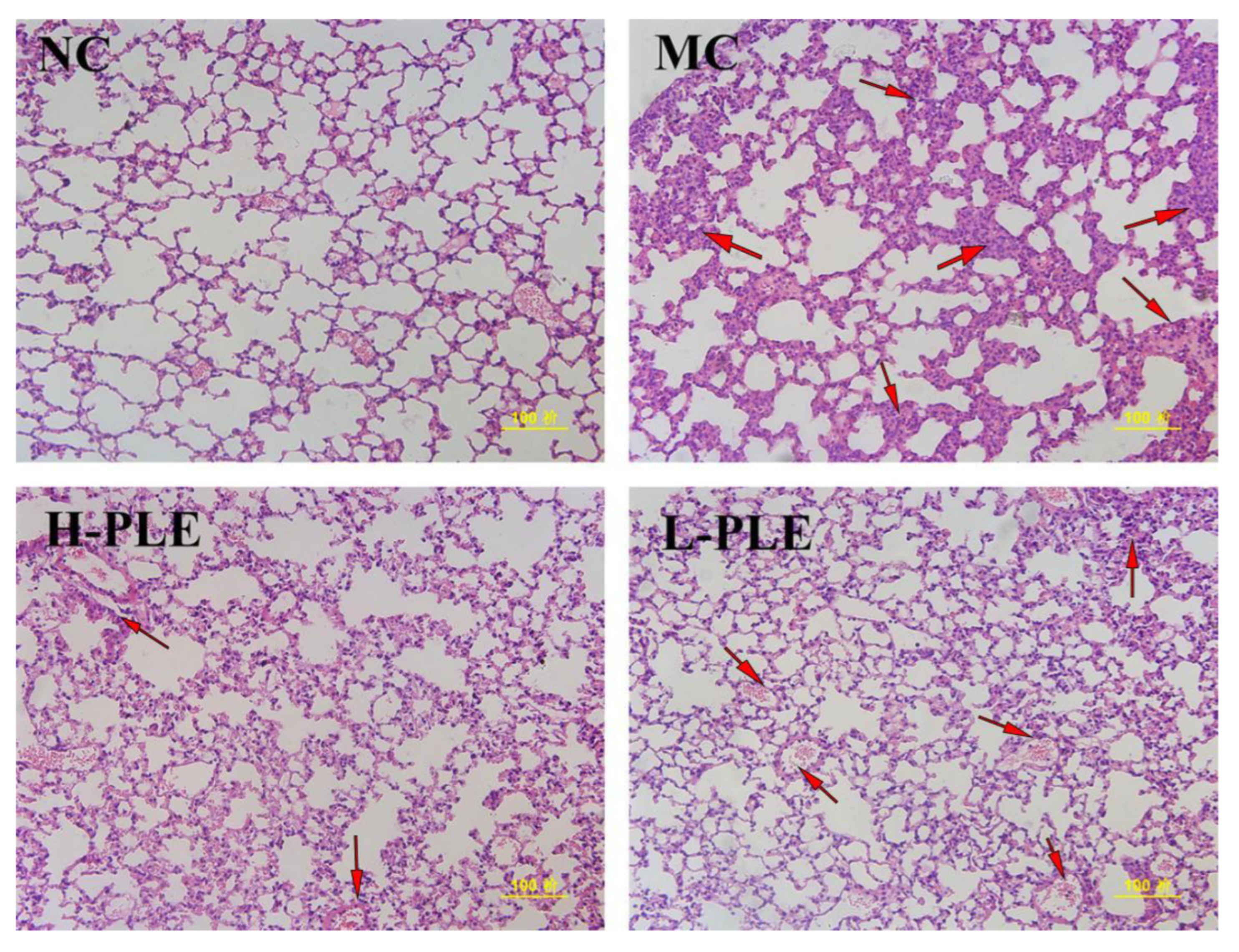 Molecules 27 07328 g007