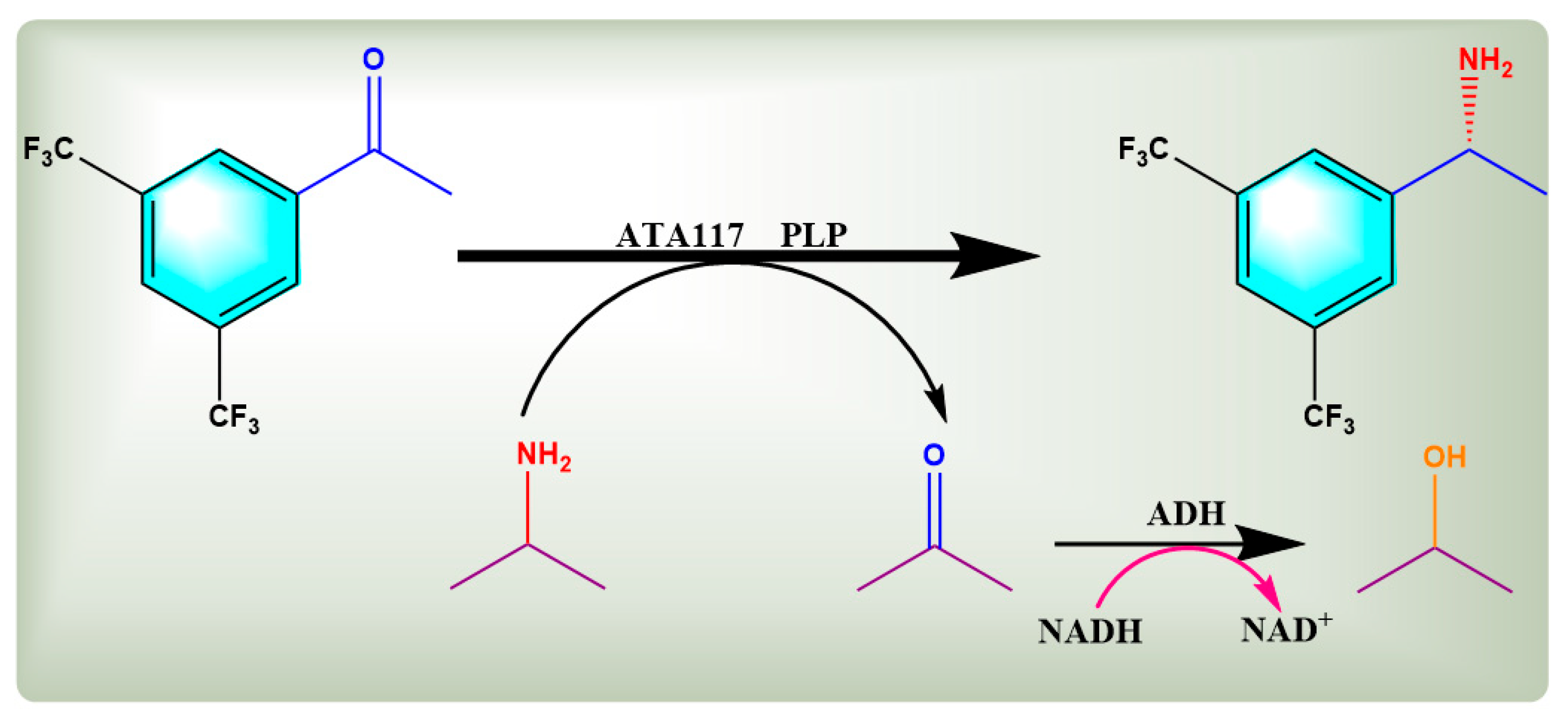 Molecules 27 07331 g001