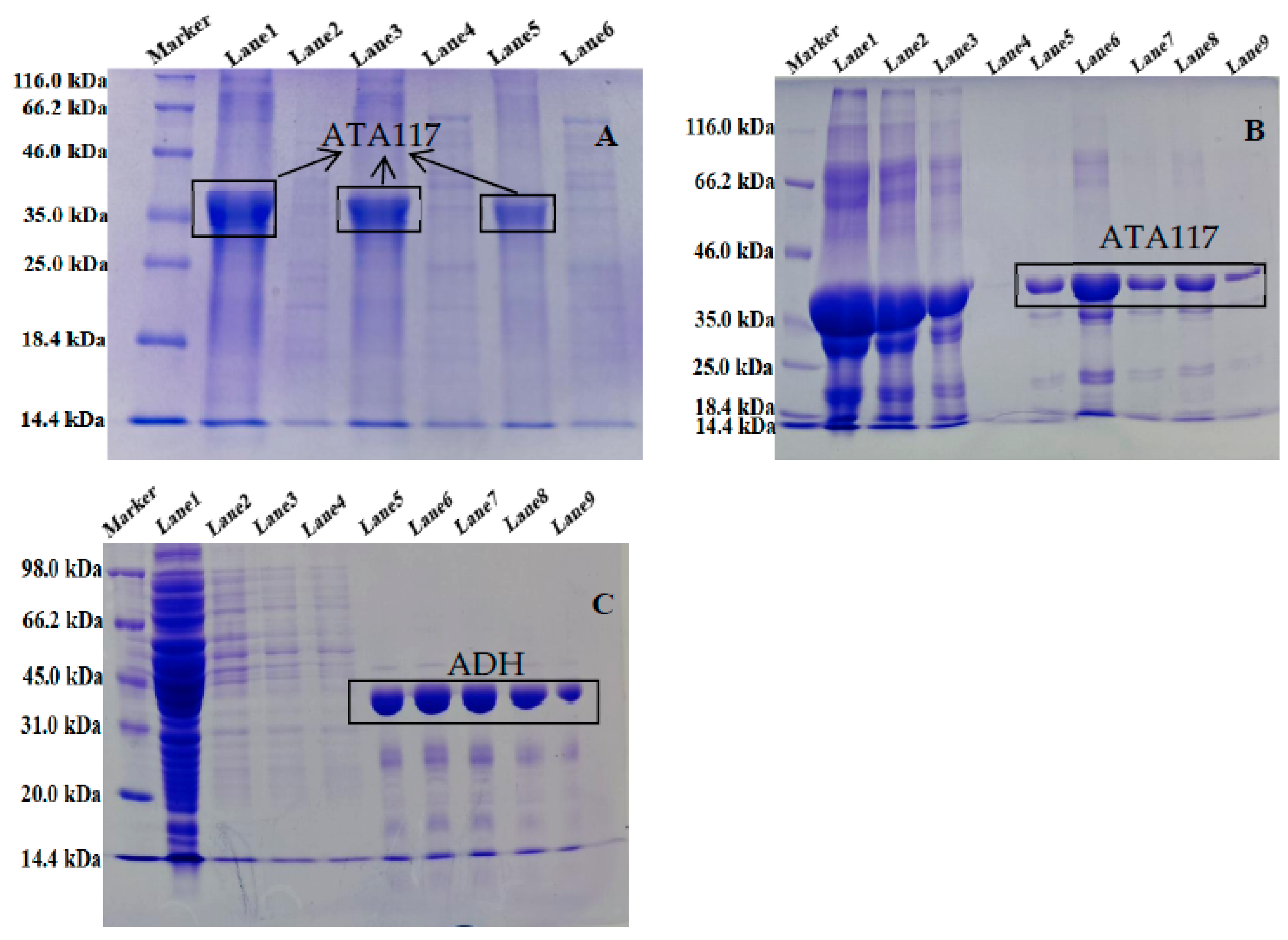 Molecules 27 07331 g002