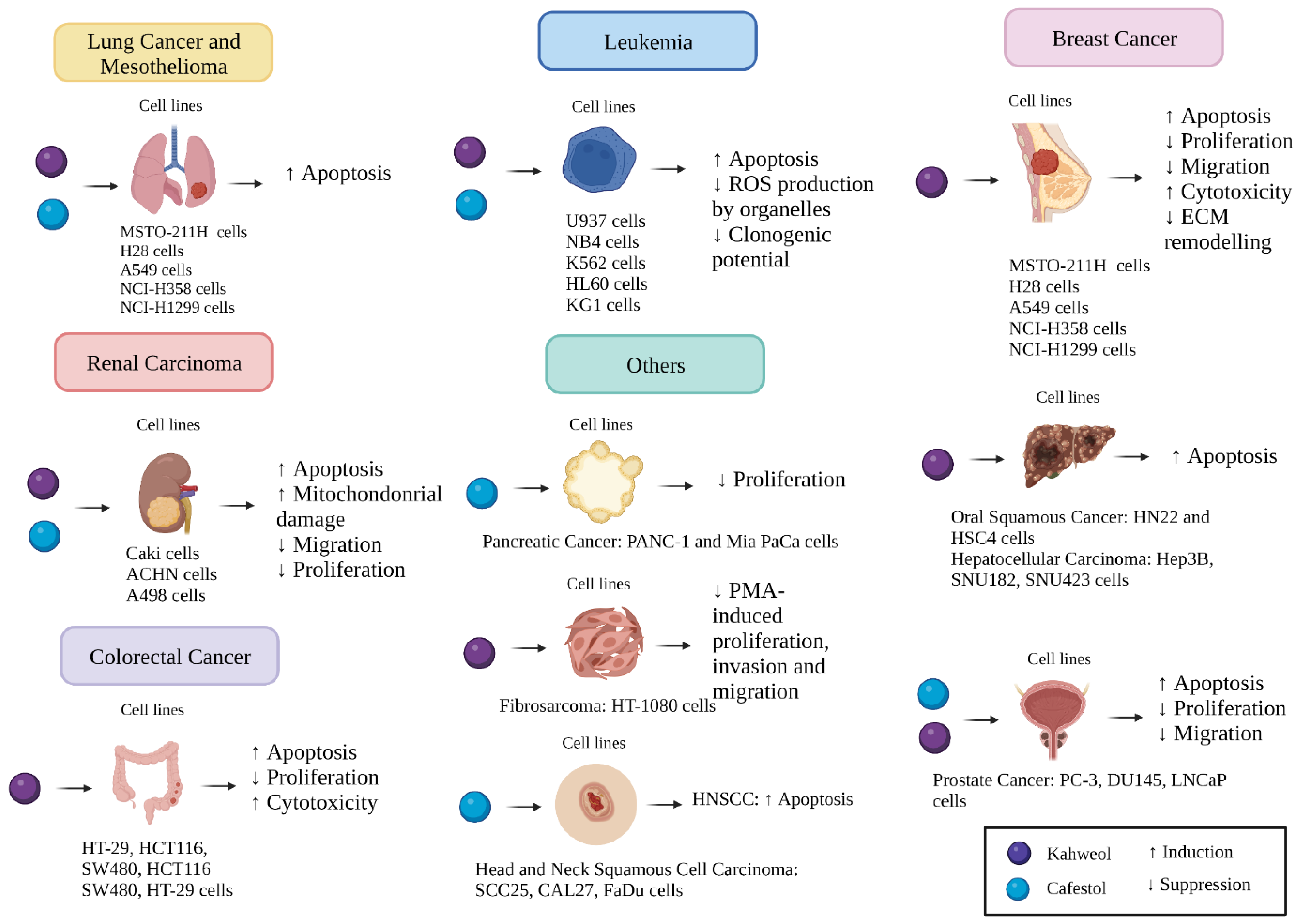 Molecules 27 07332 g002