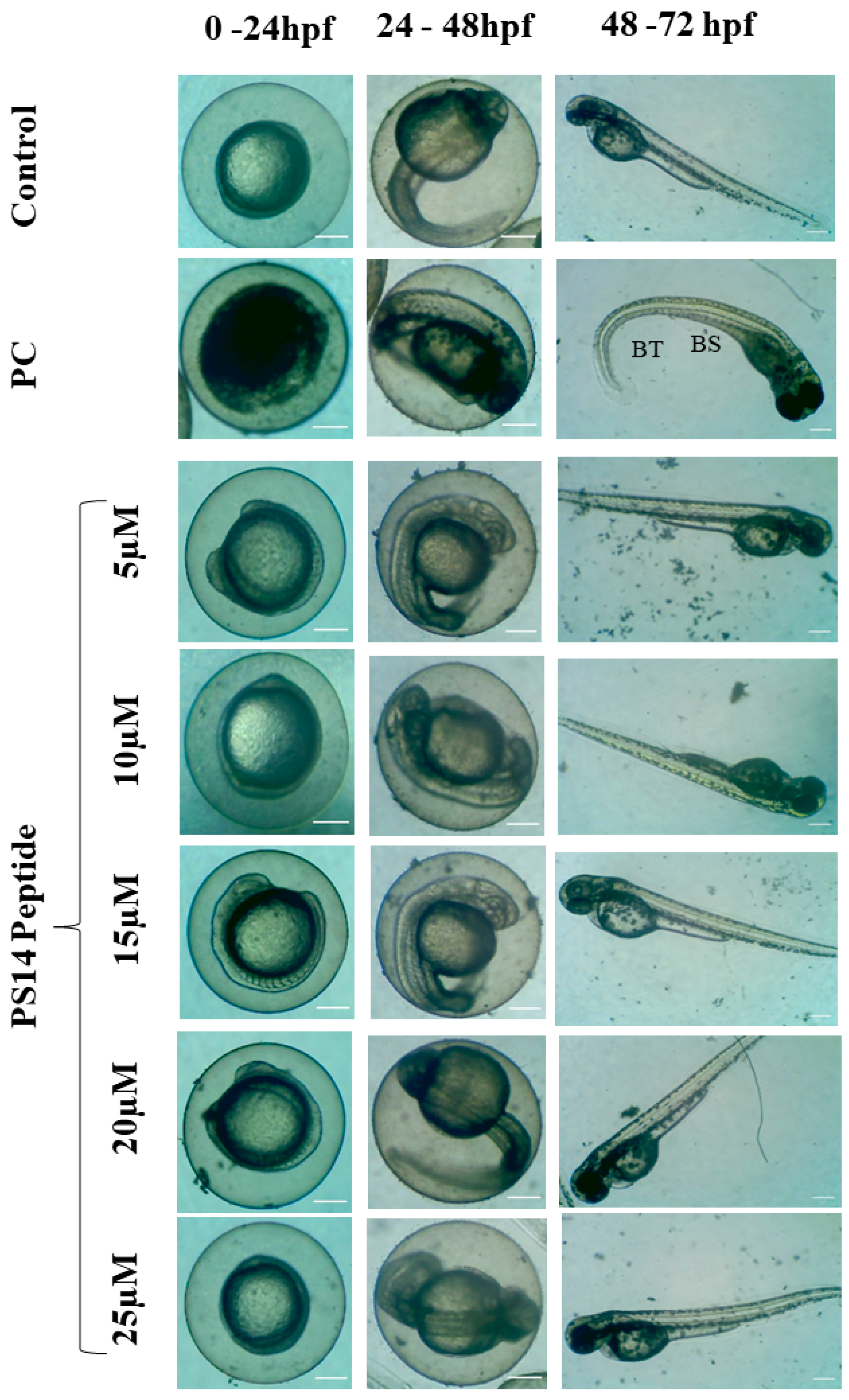 Molecules 27 07333 g002