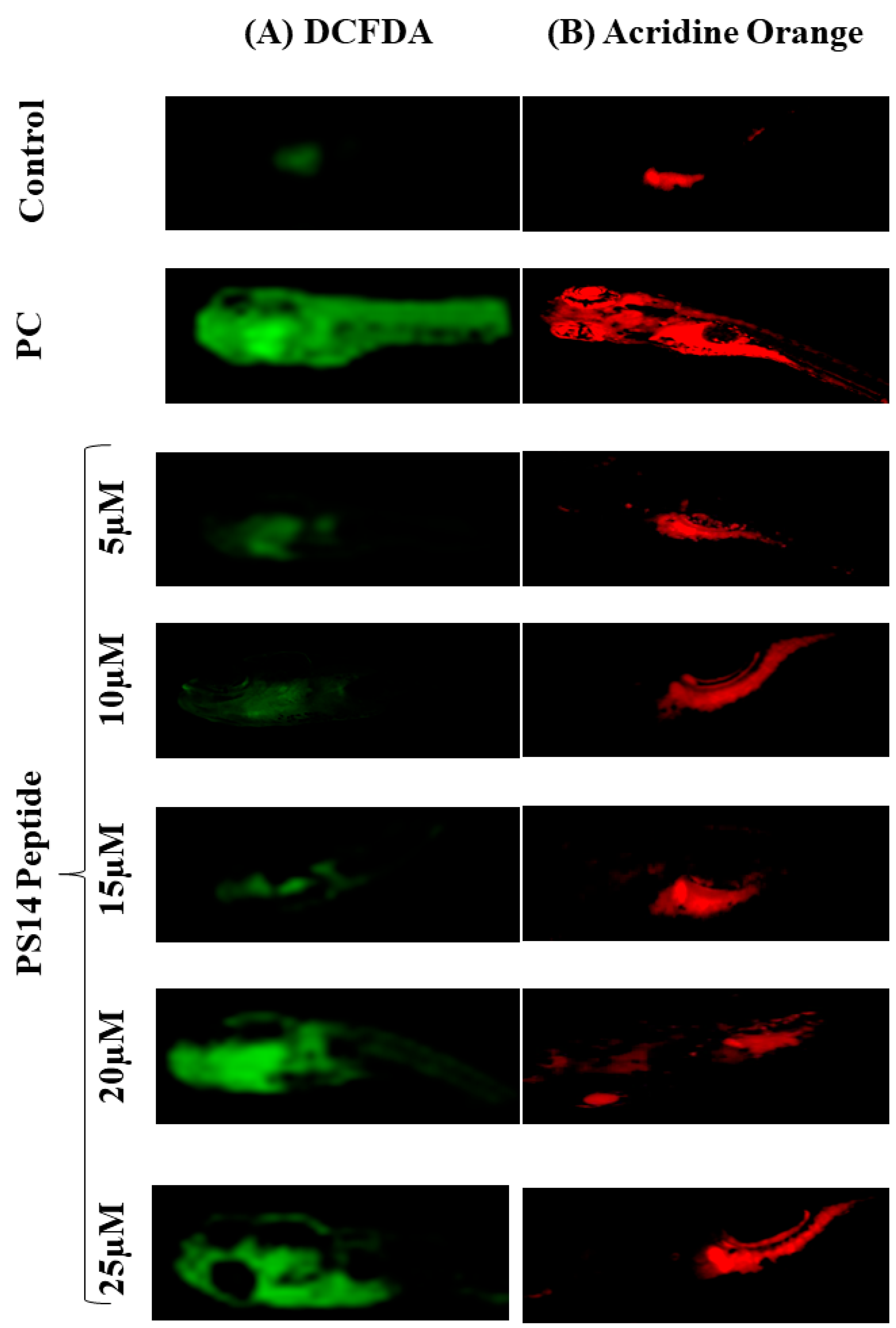 Molecules 27 07333 g003