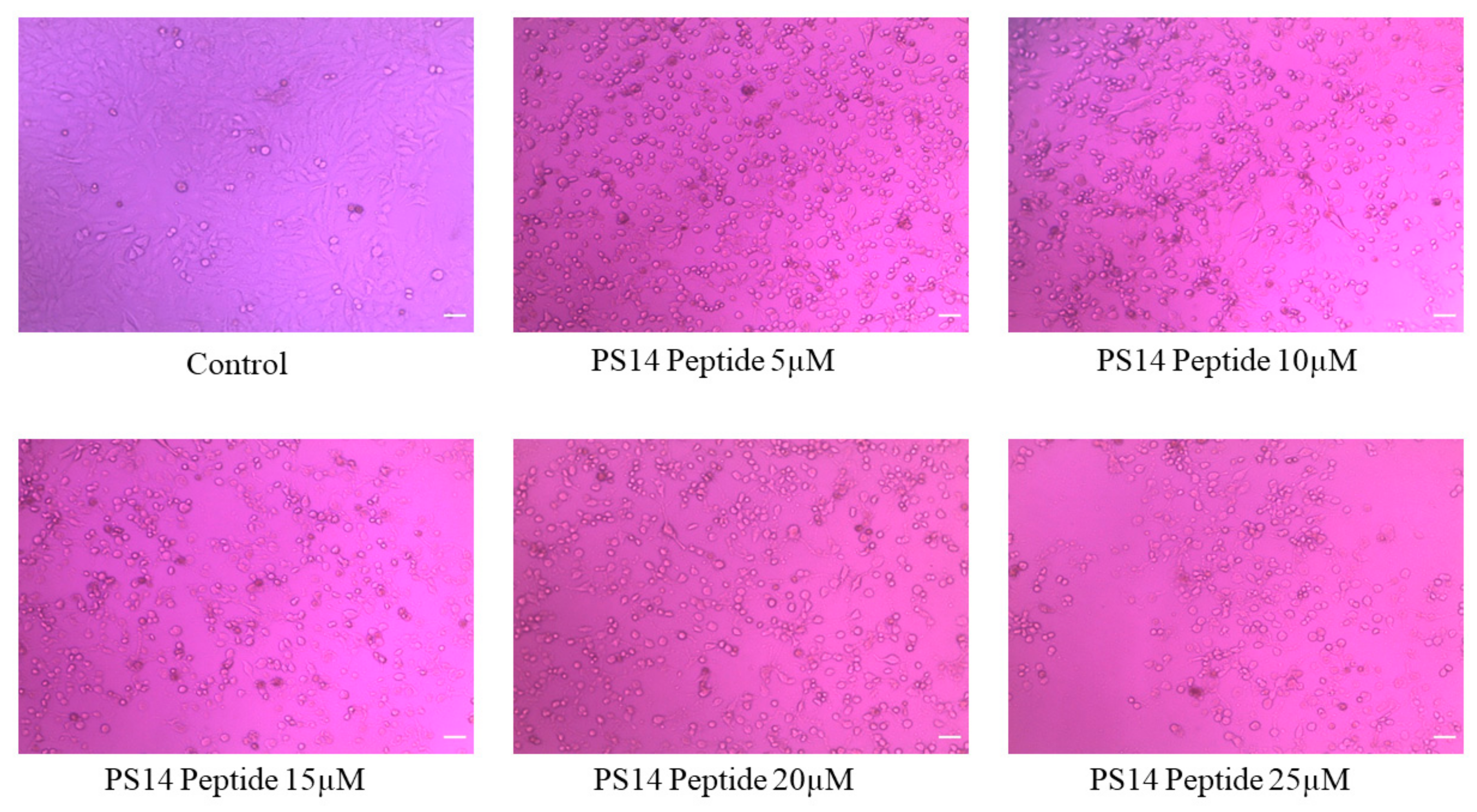 Molecules 27 07333 g004