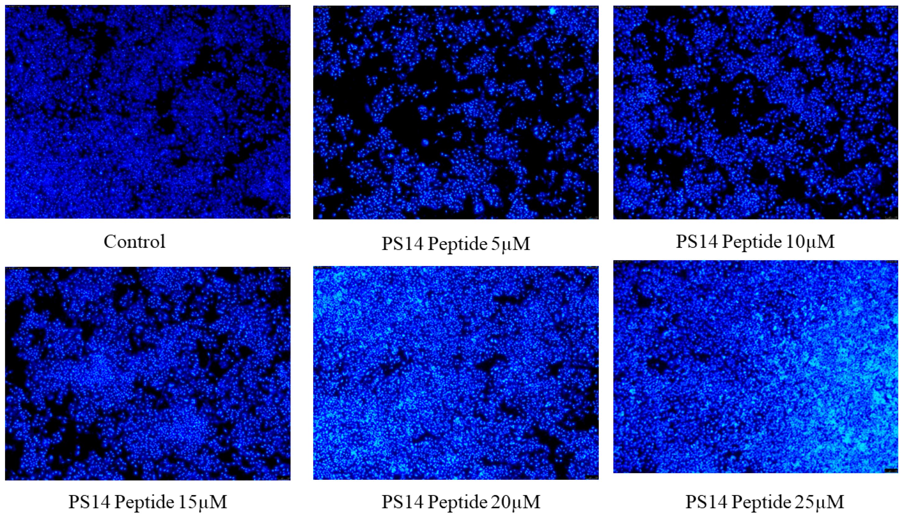 Molecules 27 07333 g005