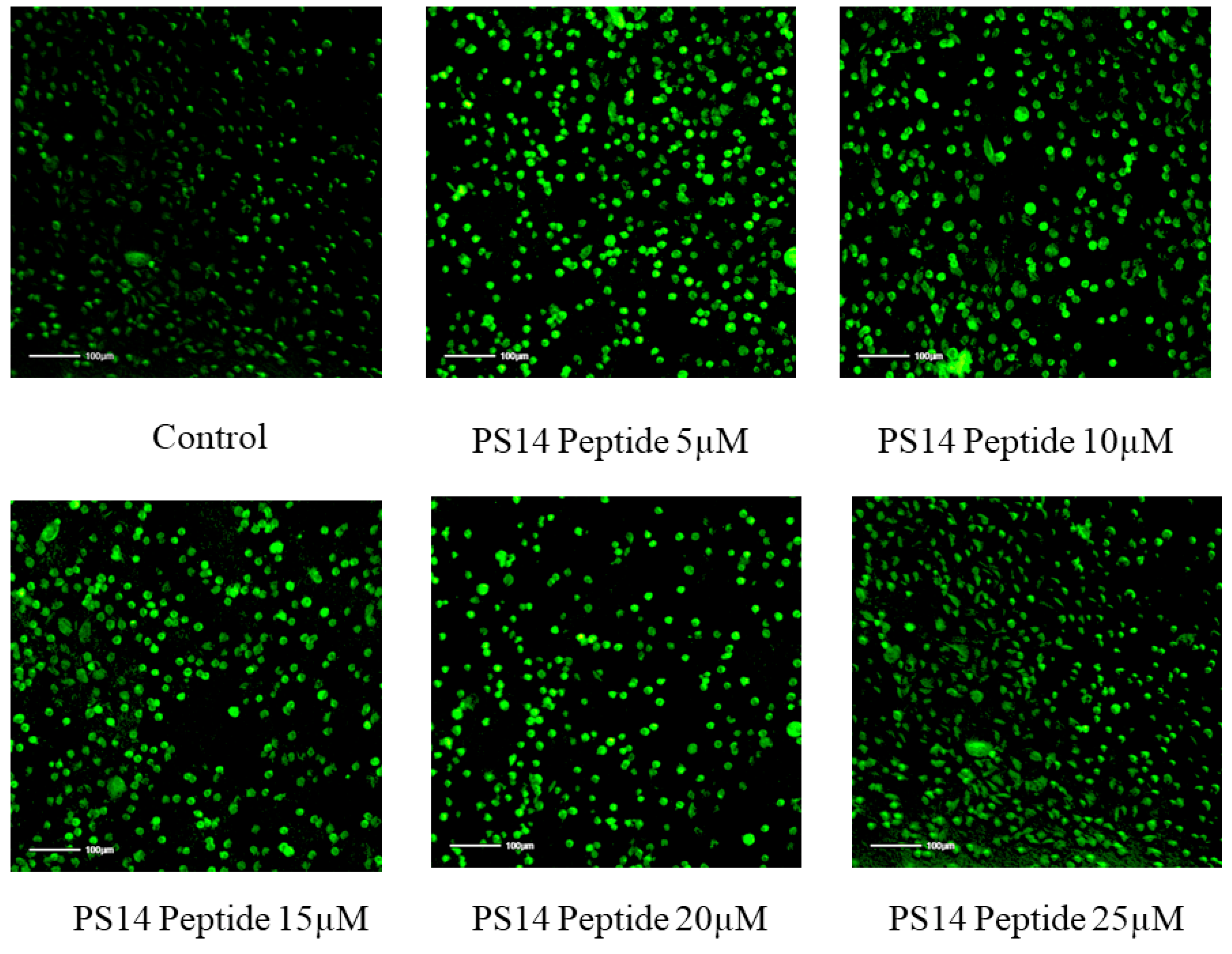 Molecules 27 07333 g006