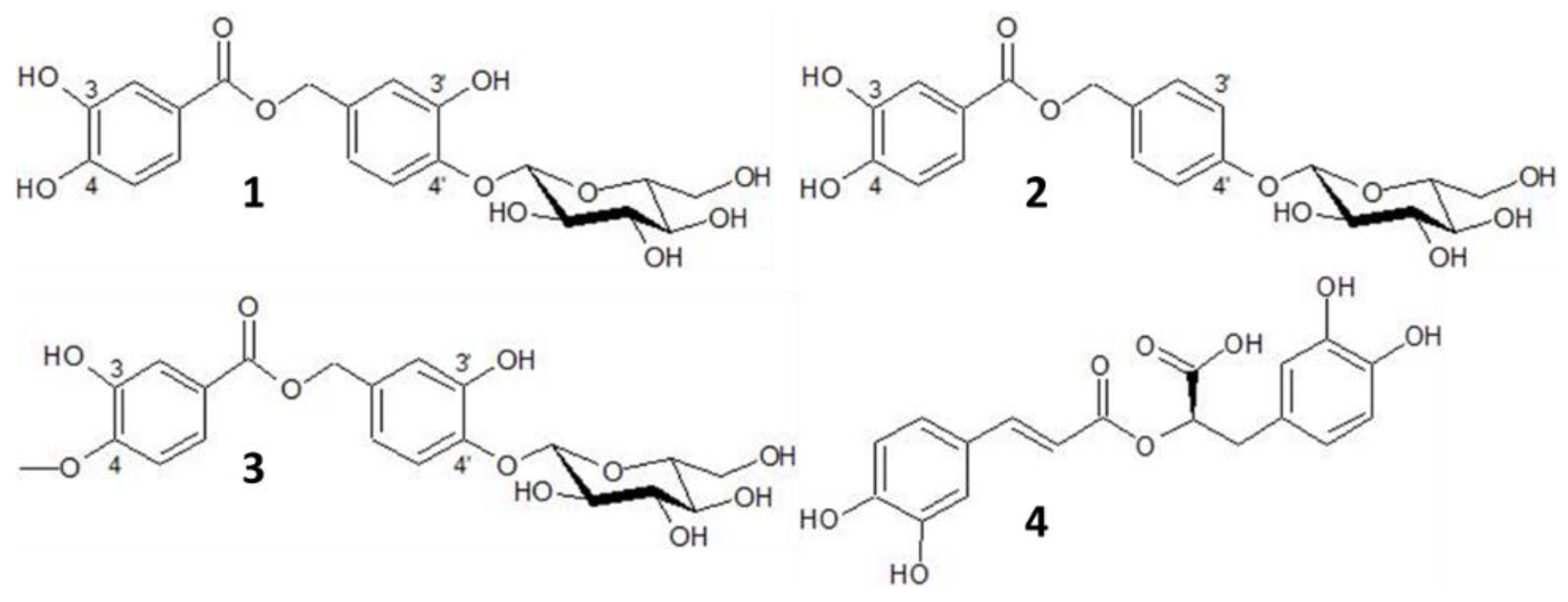 Molecules 27 07335 g006