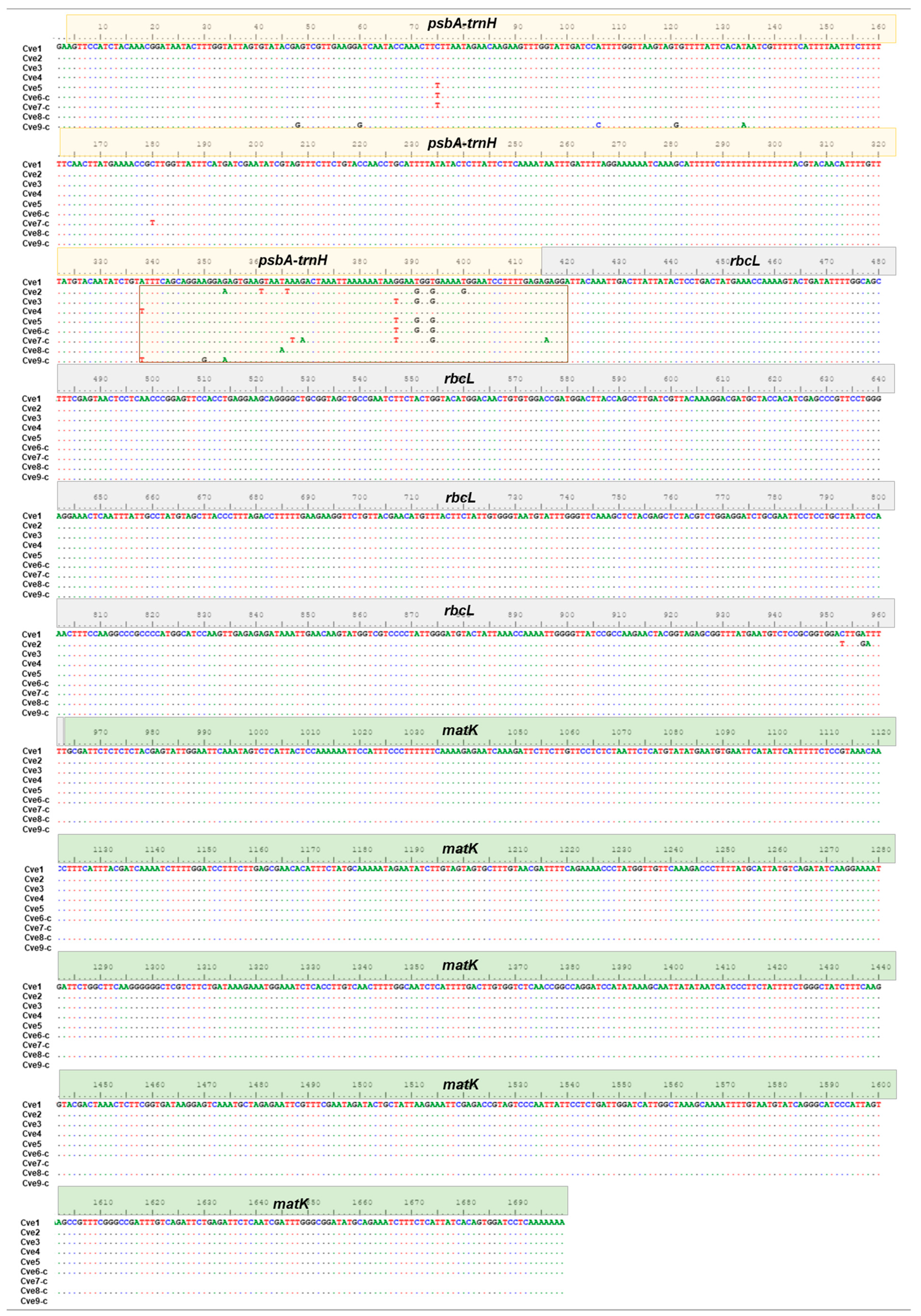 Molecules 27 07337 g002