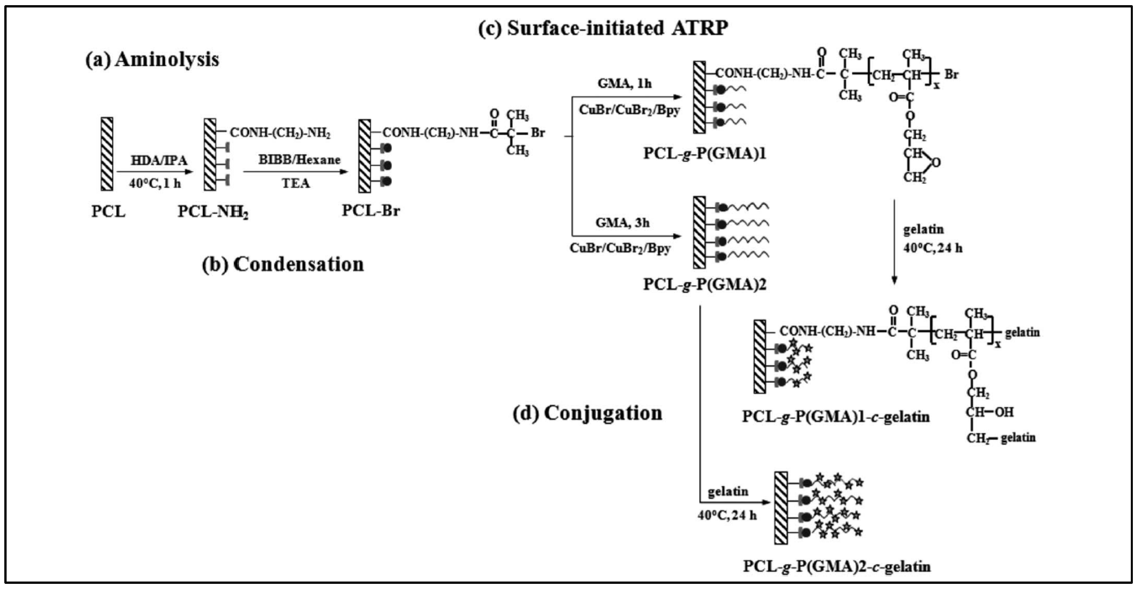 Molecules 27 07339 g003