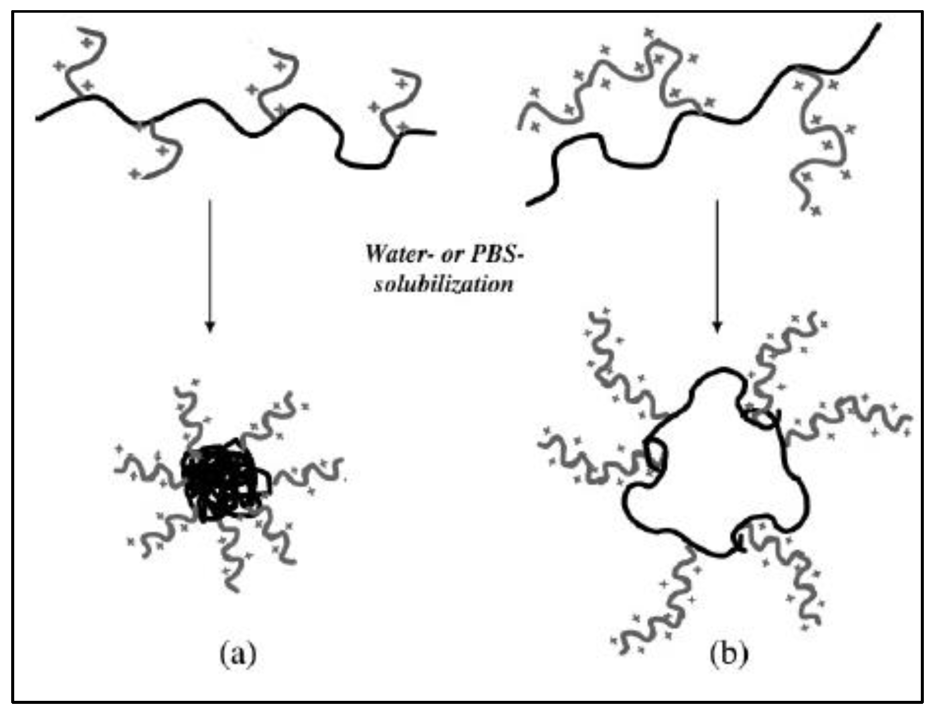 Molecules 27 07339 g025