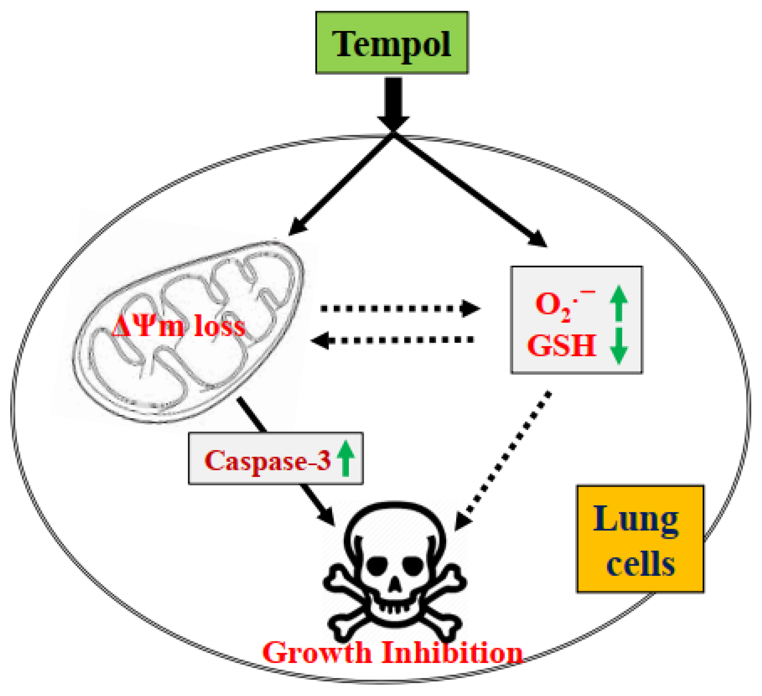 Molecules 27 07341 g008