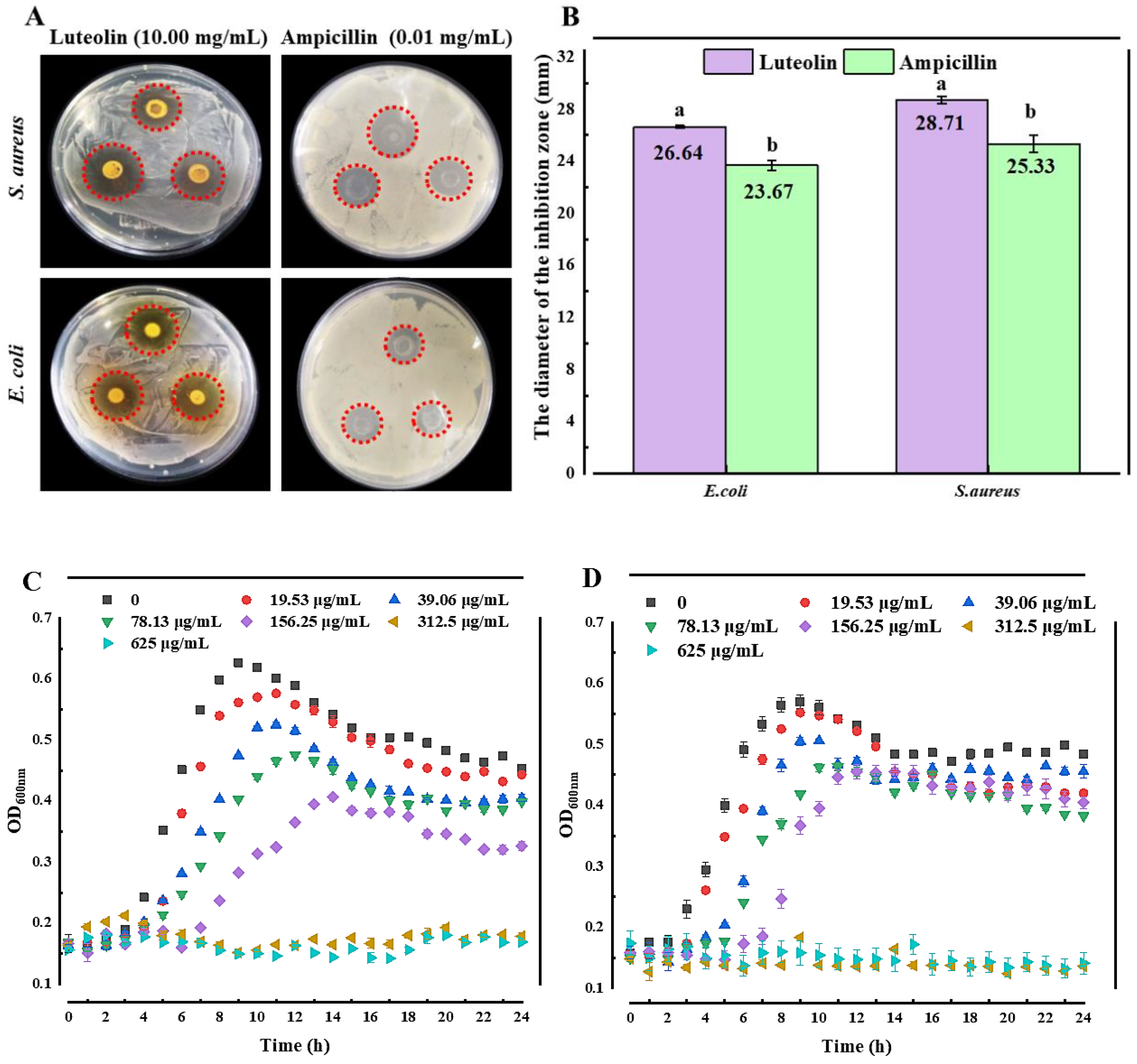 Molecules 27 07342 g001