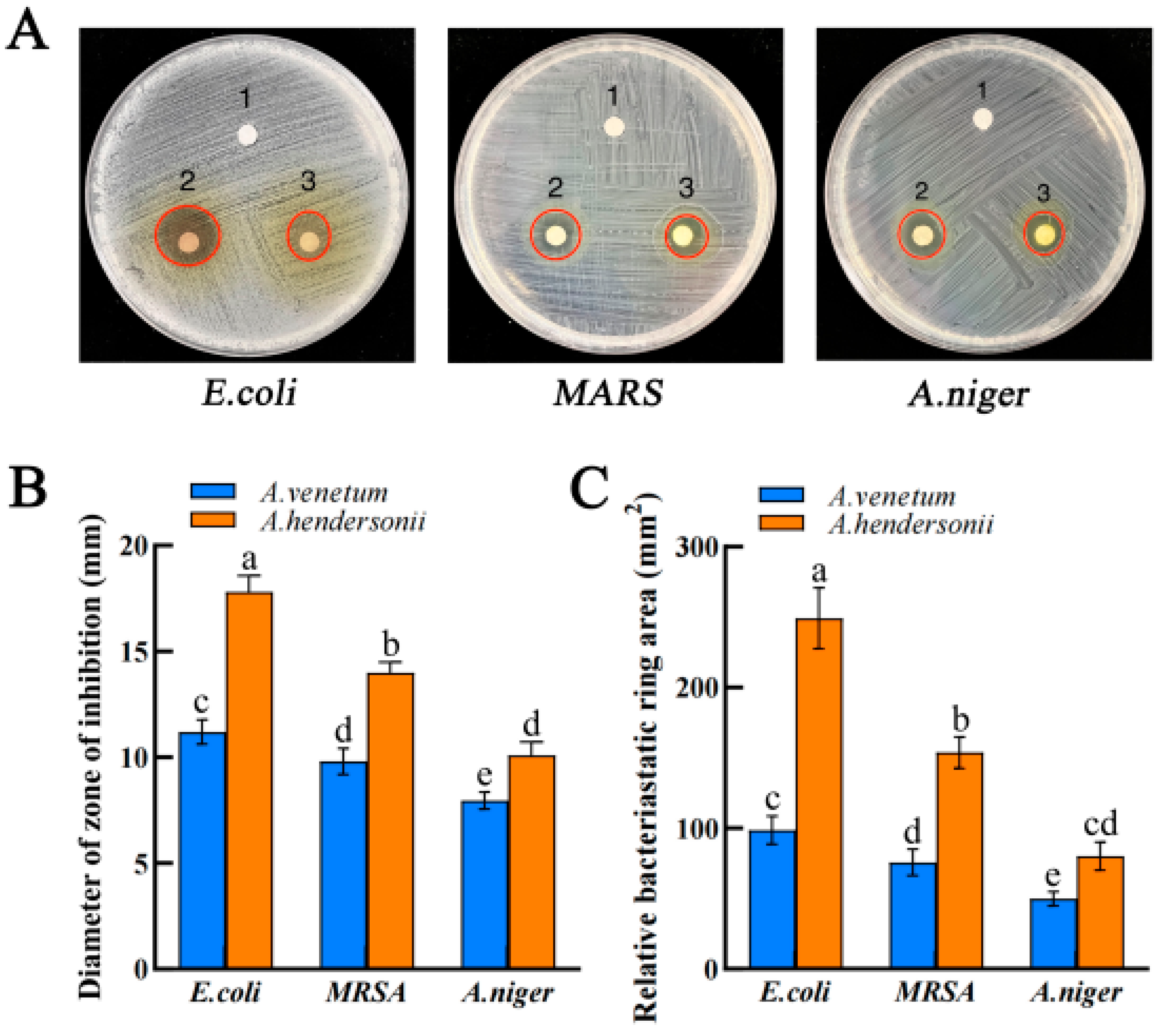 Molecules 27 07343 g002
