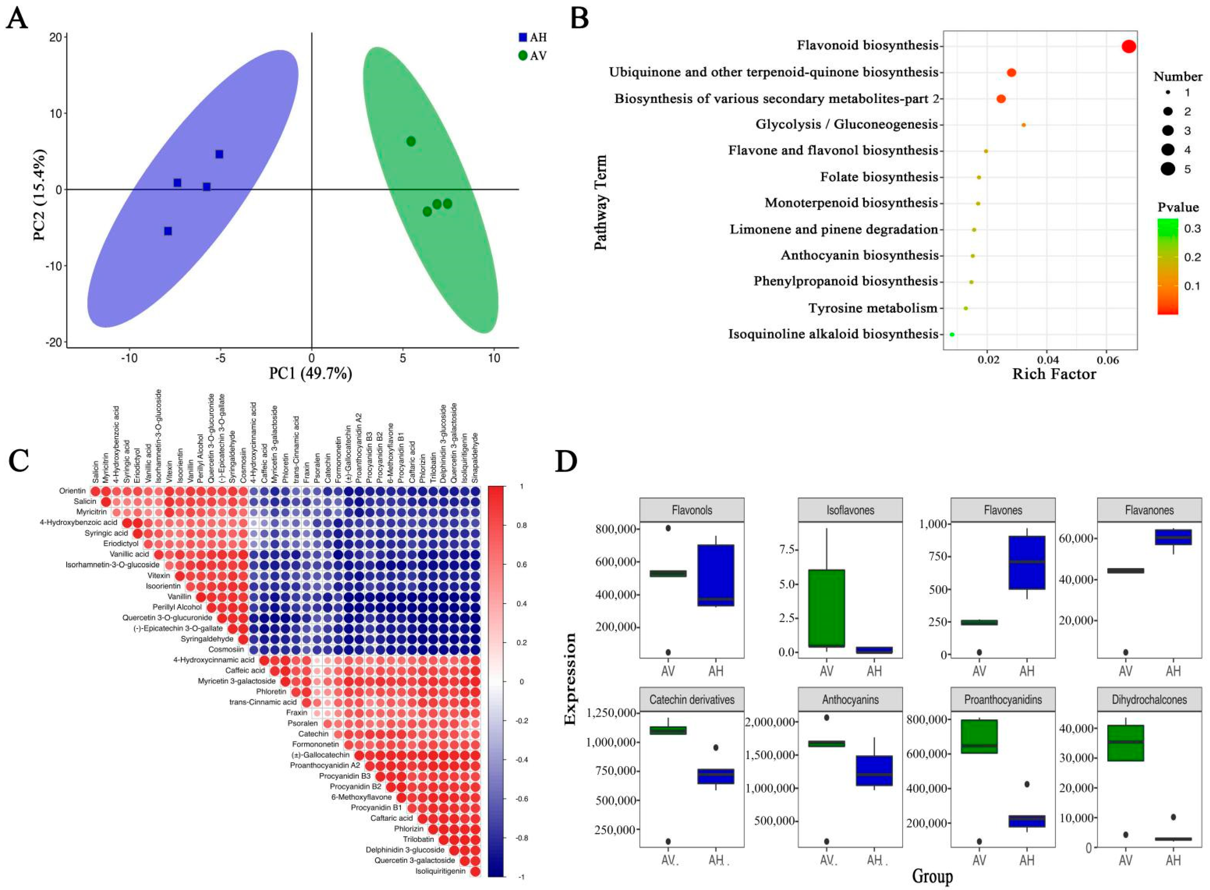 Molecules 27 07343 g004