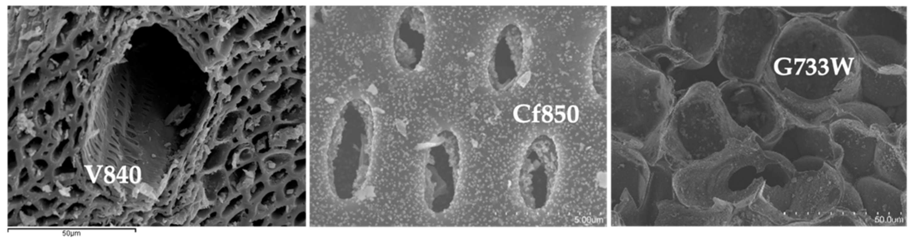 Molecules 27 07345 g002