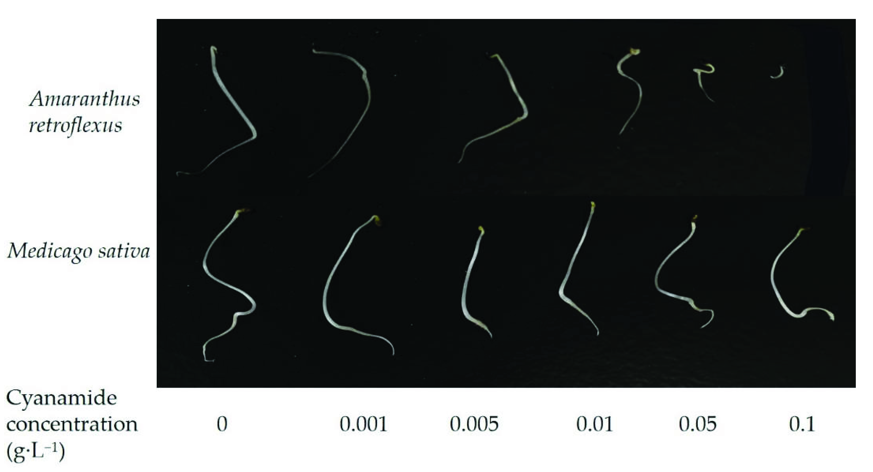 Molecules 27 07347 g001