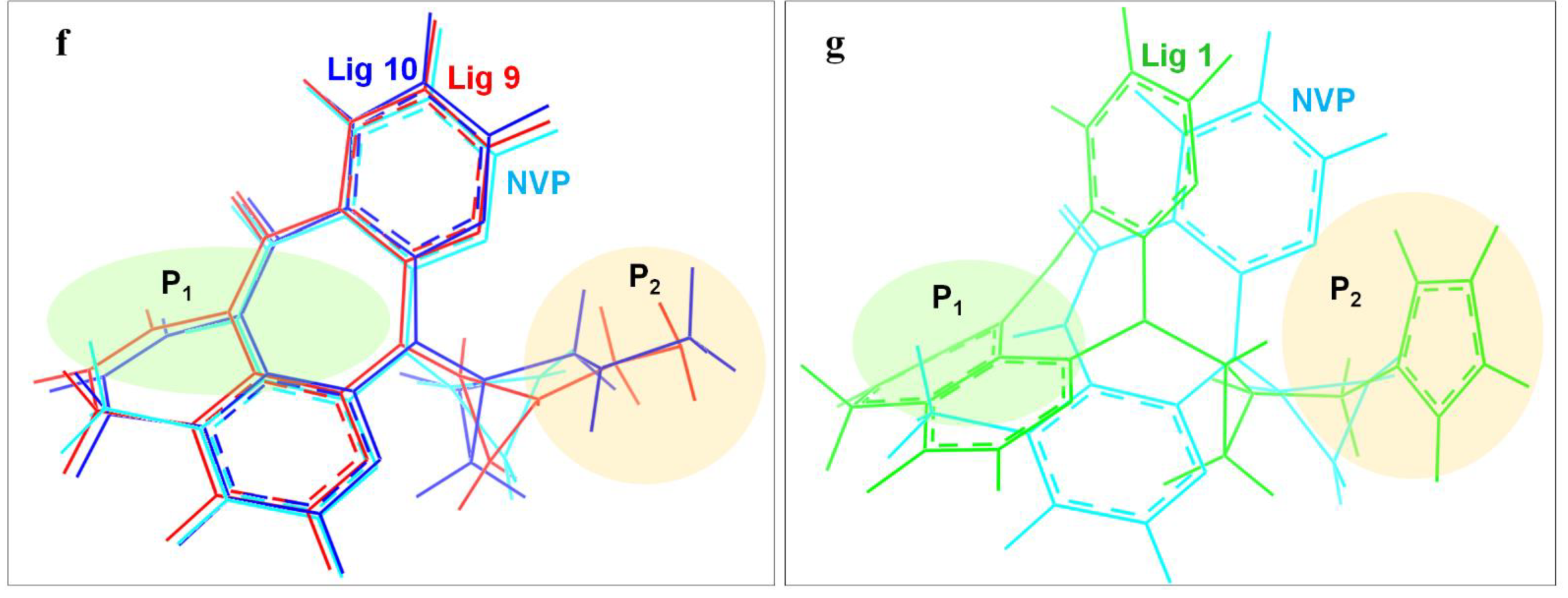 Molecules 27 07348 g006b