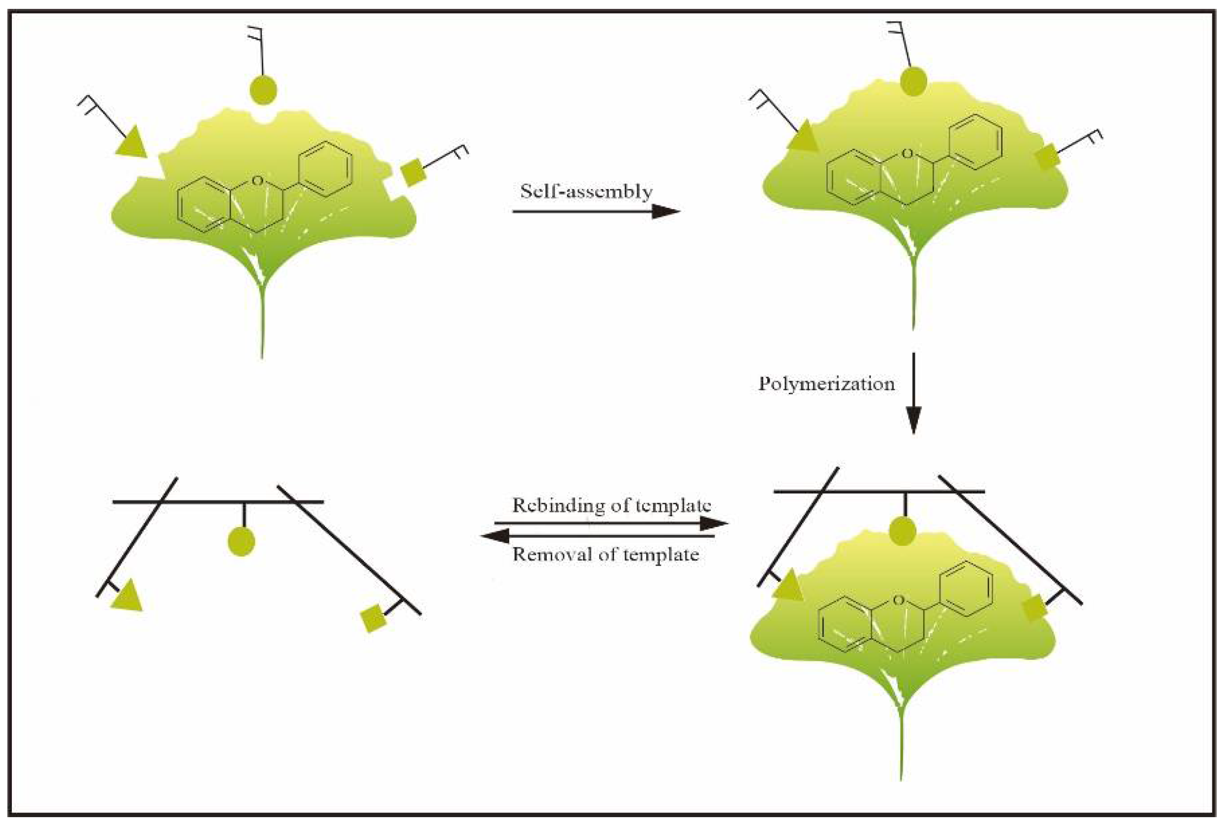 Molecules 27 07355 g002