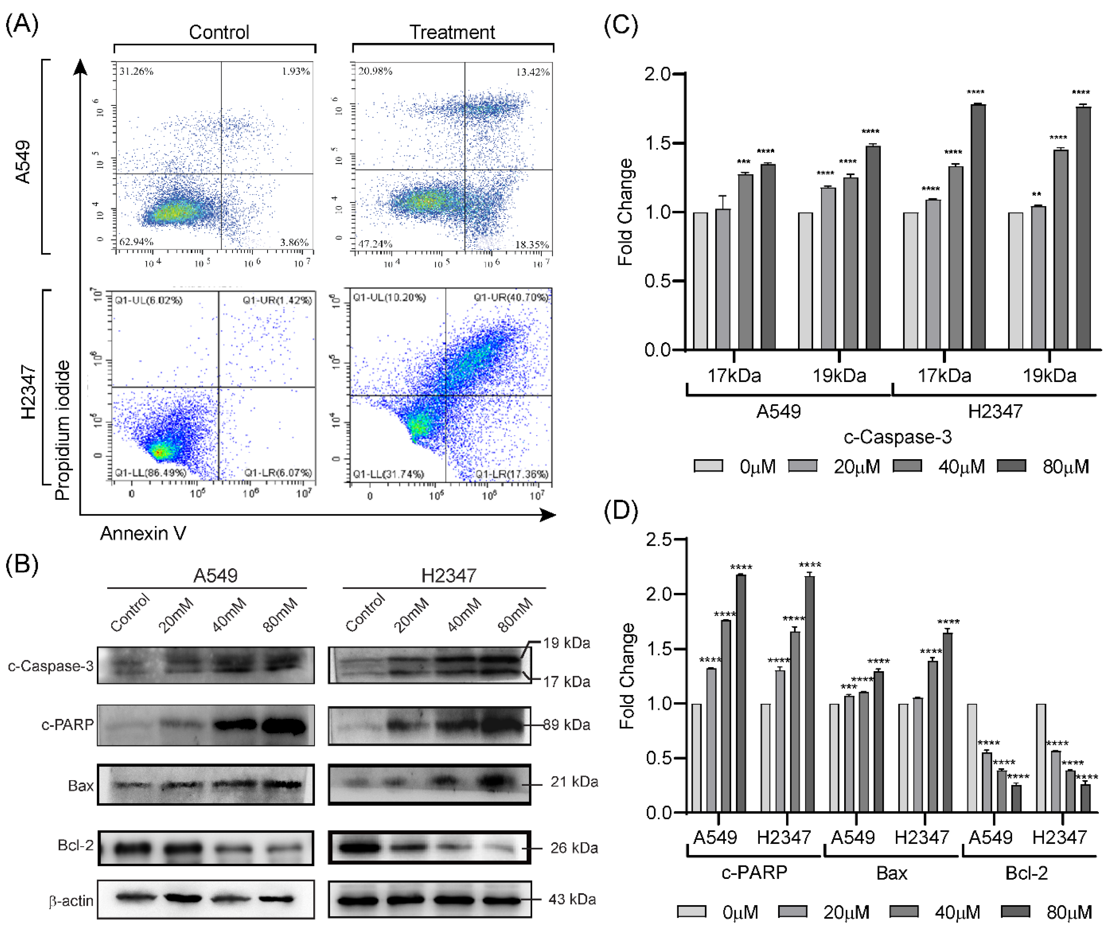 Molecules 27 07358 g003