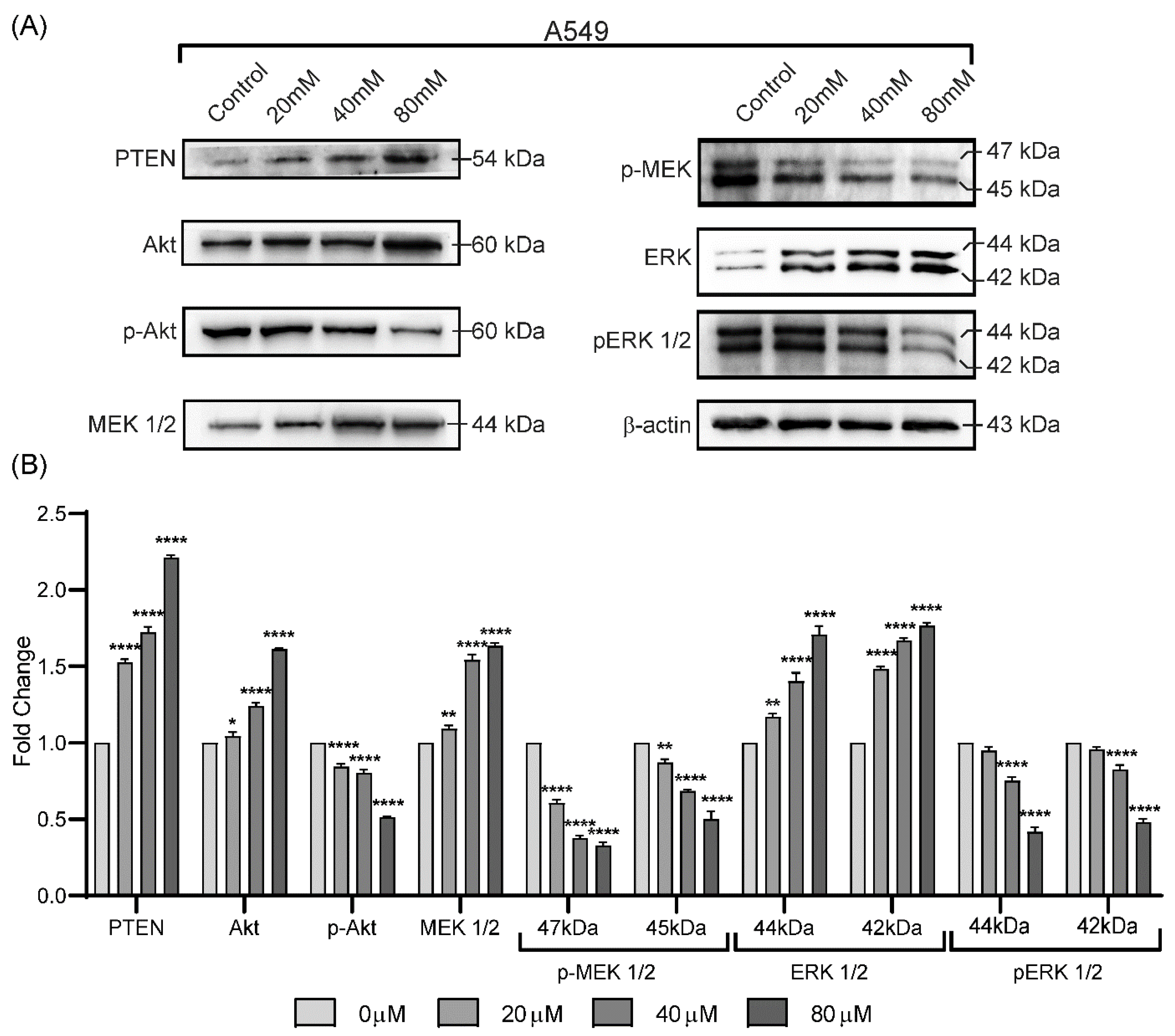 Molecules 27 07358 g004