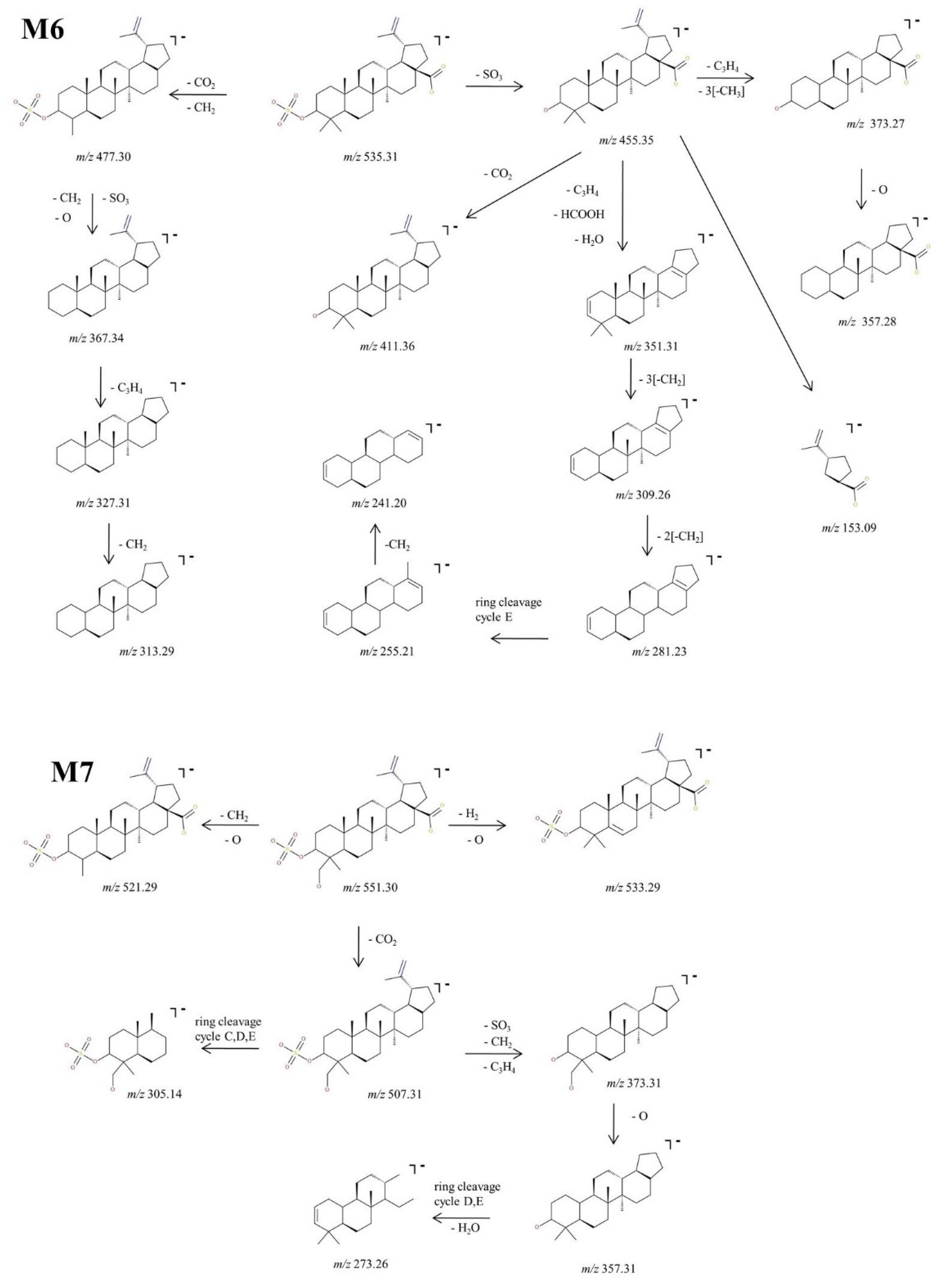 Molecules 27 07359 g007