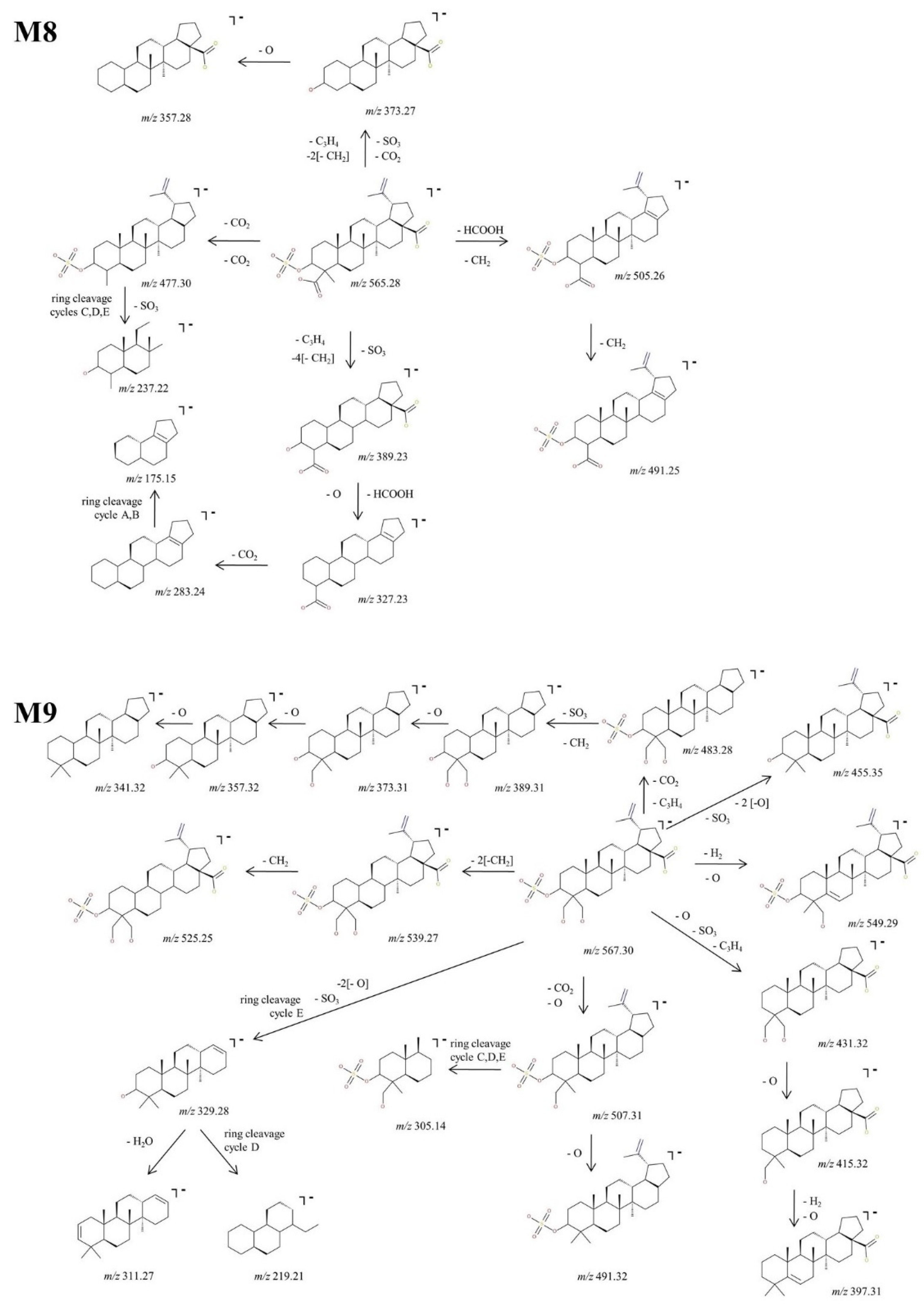 Molecules 27 07359 g008
