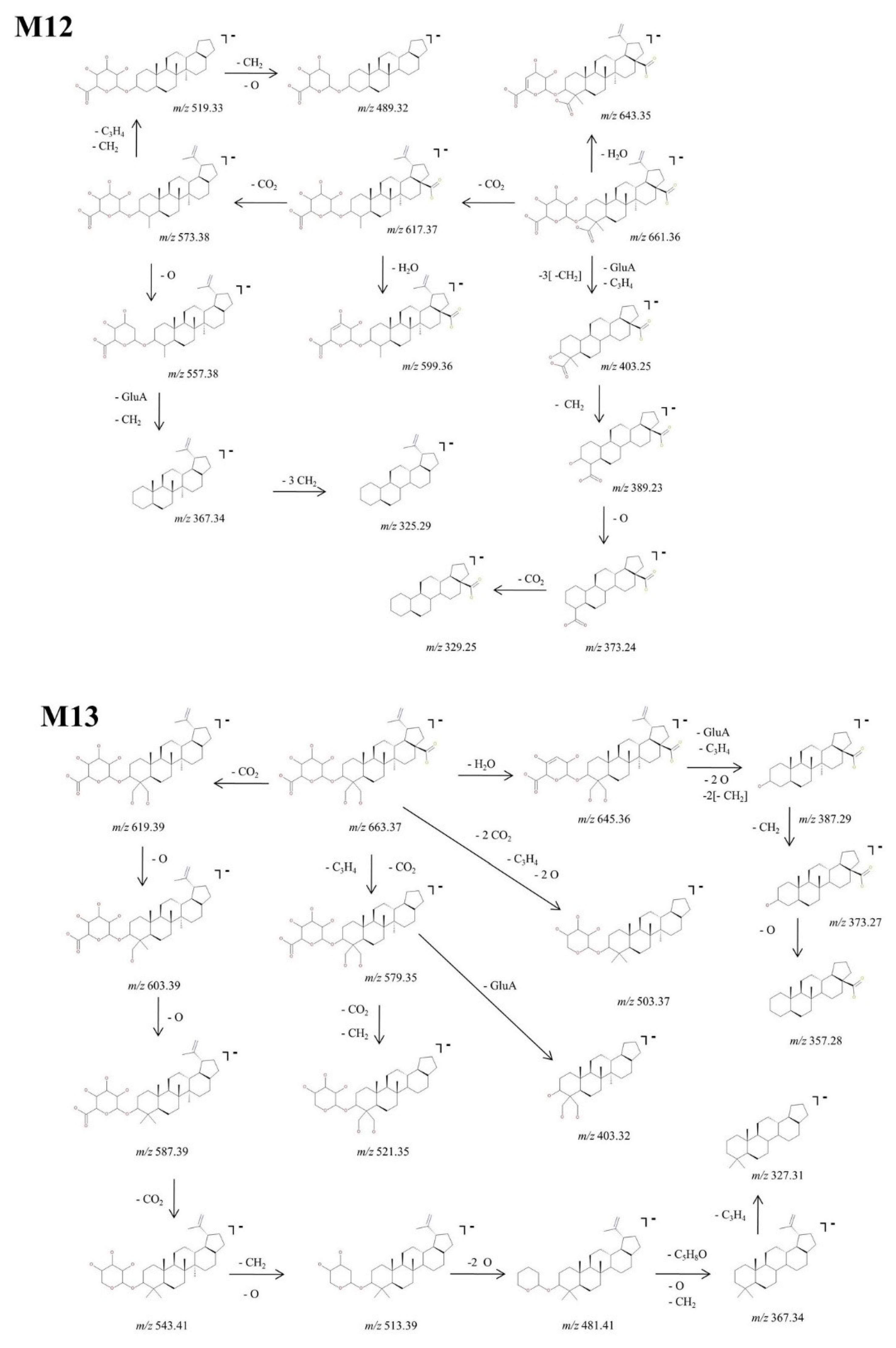 Molecules 27 07359 g010