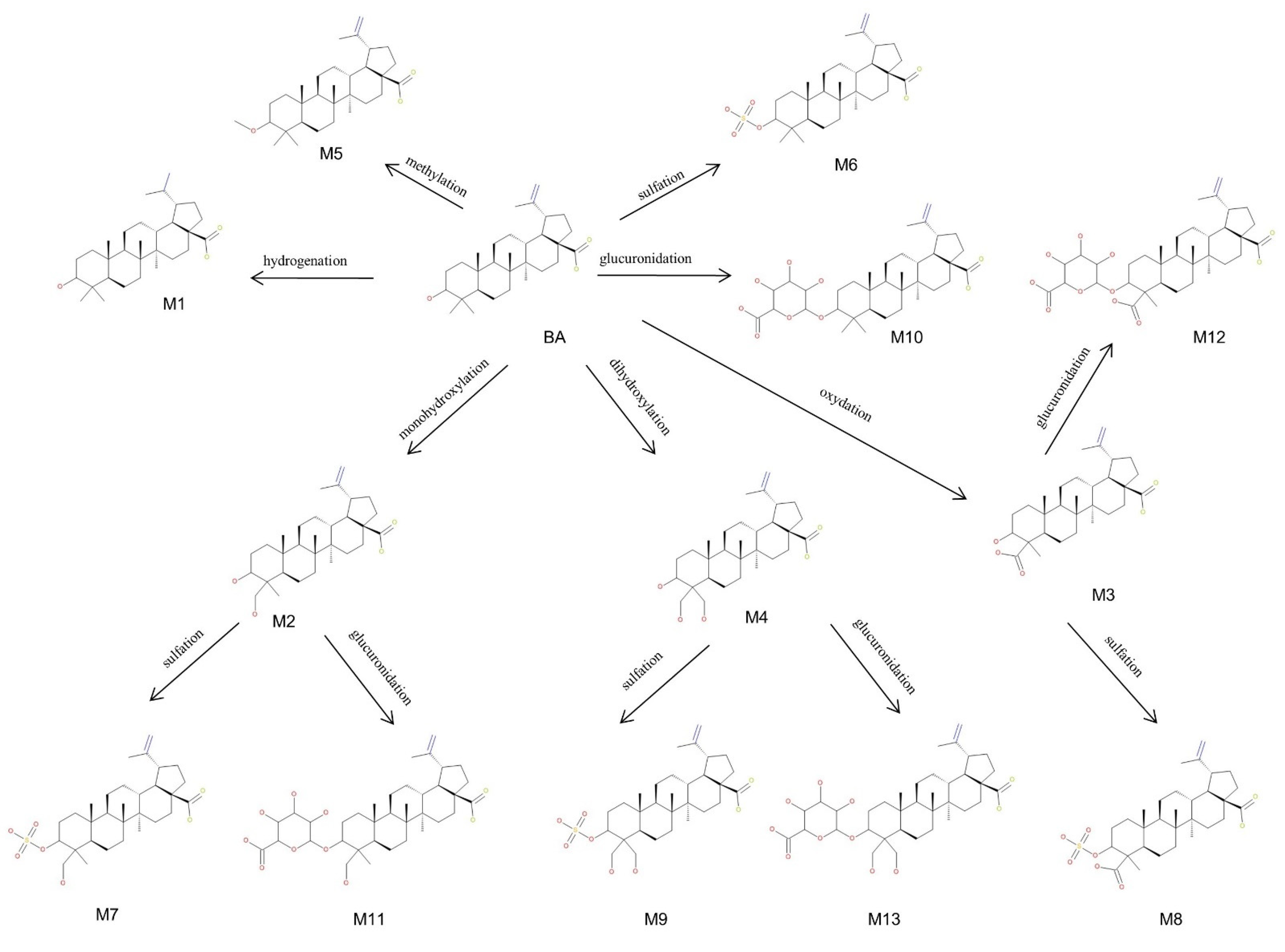 Molecules 27 07359 g011