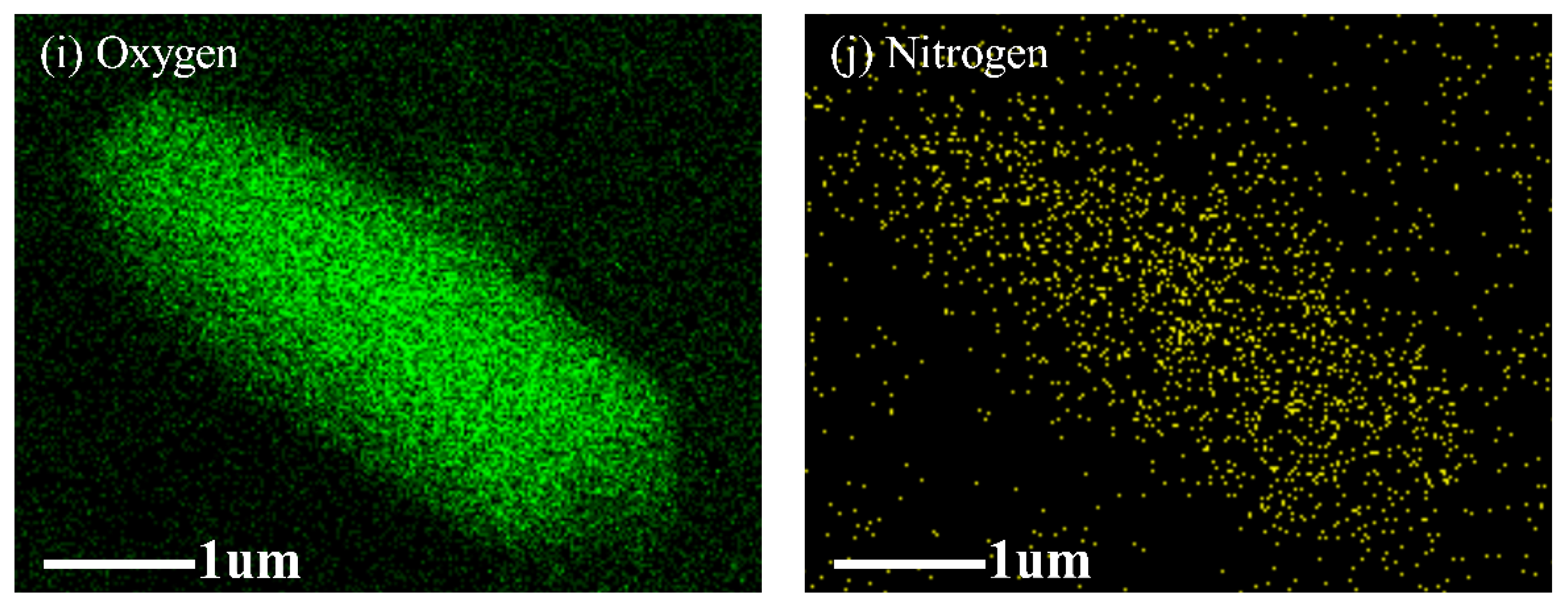 Molecules 27 07363 g002b