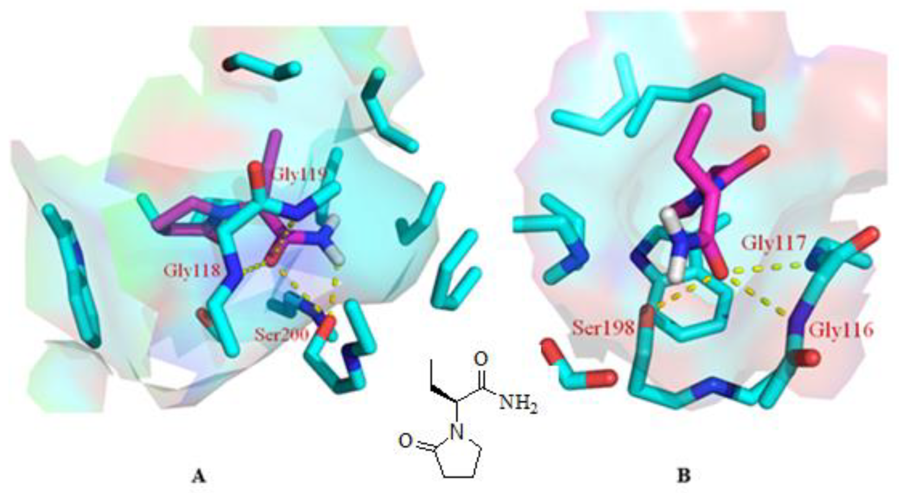 Molecules 27 07364 g005