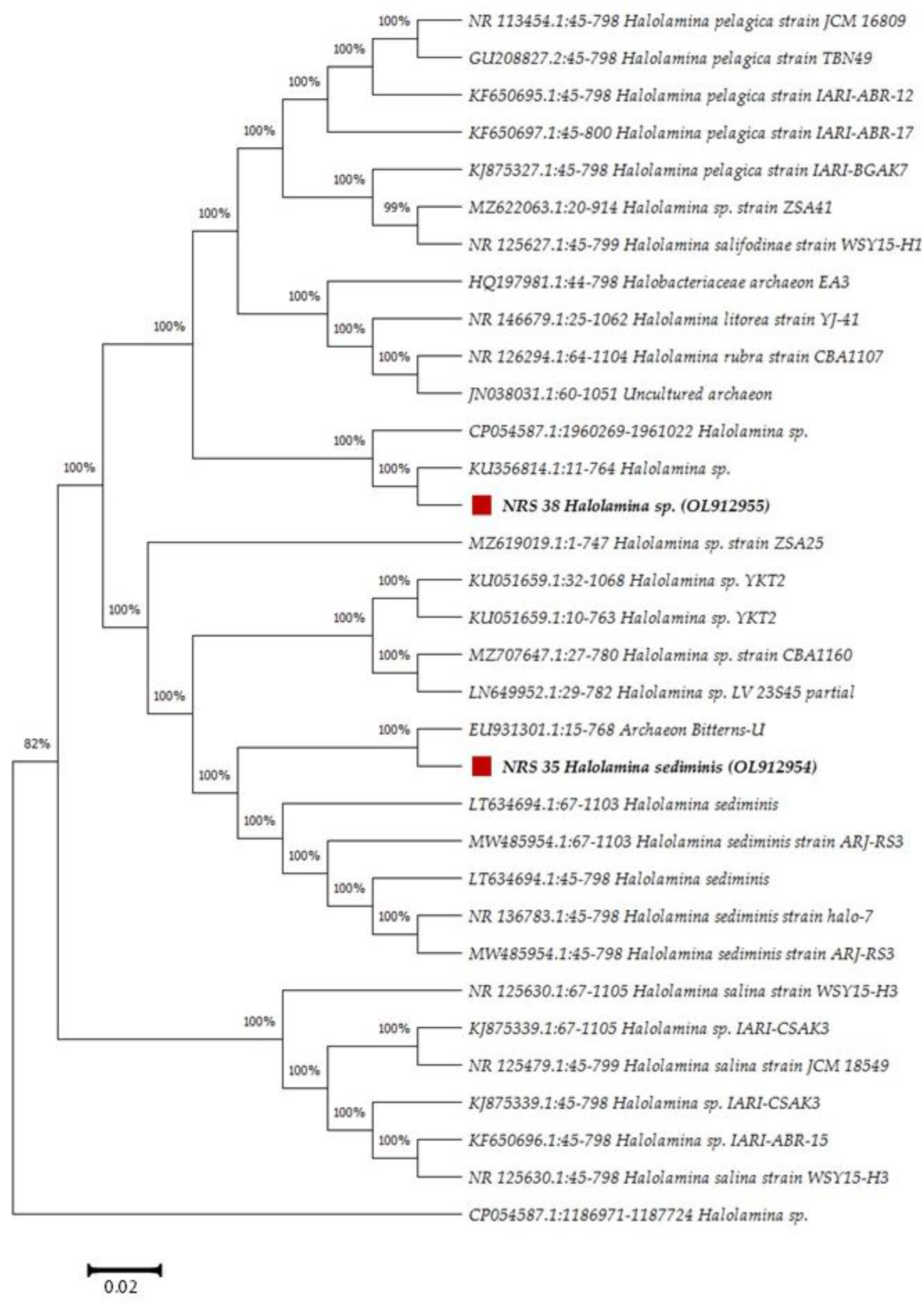 Molecules 27 07366 g001