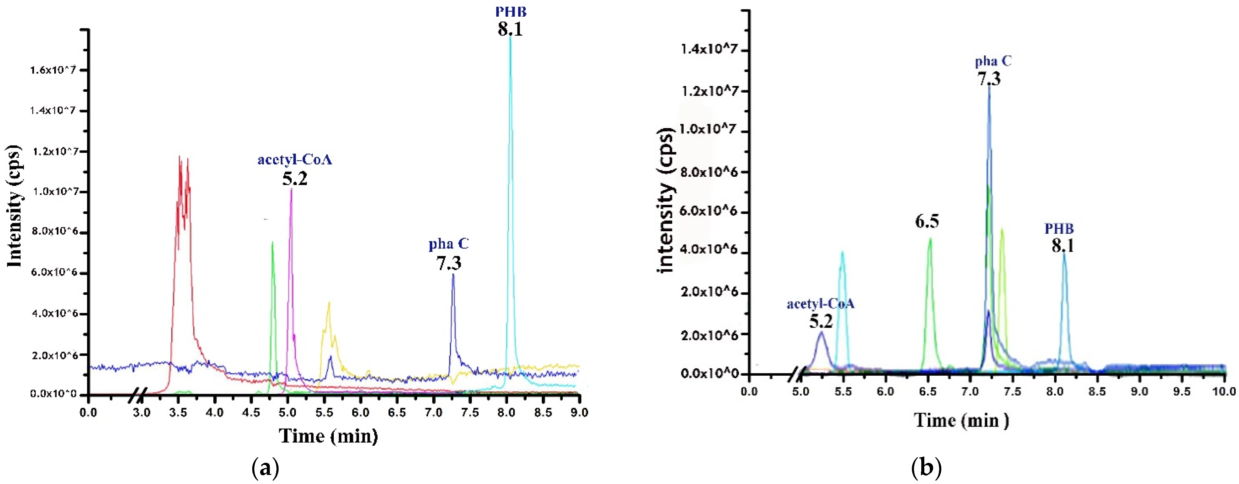 Molecules 27 07366 g007