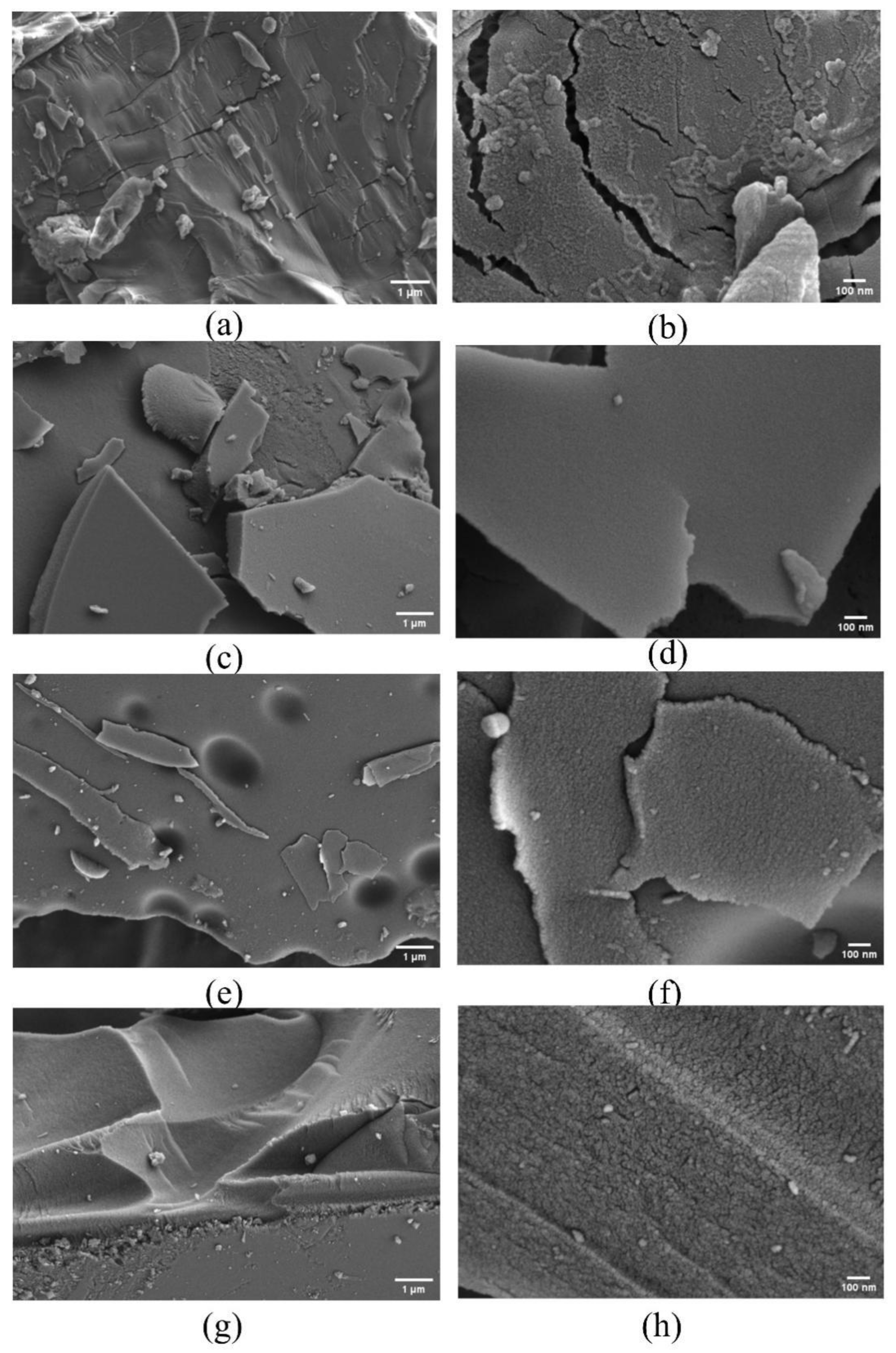 Molecules 27 07375 g006