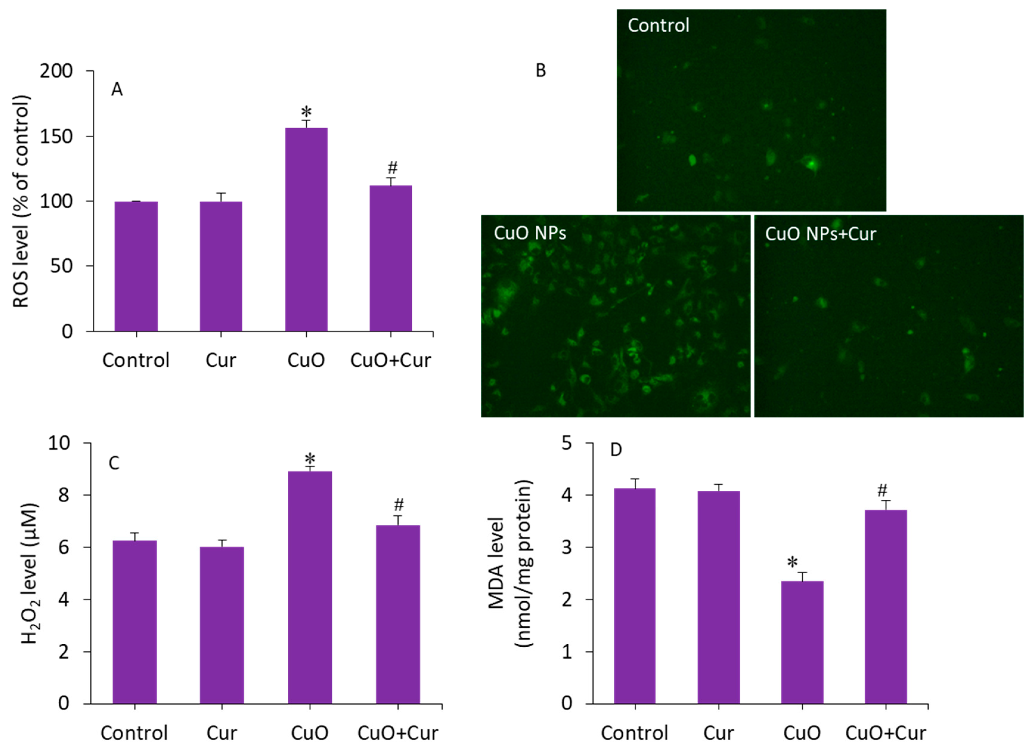 Molecules 27 07378 g006