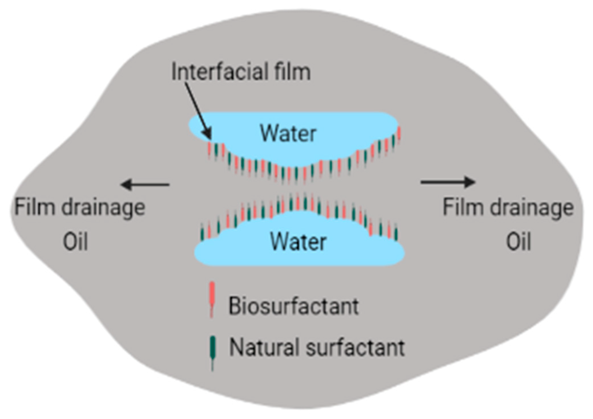 Molecules 27 07381 g003