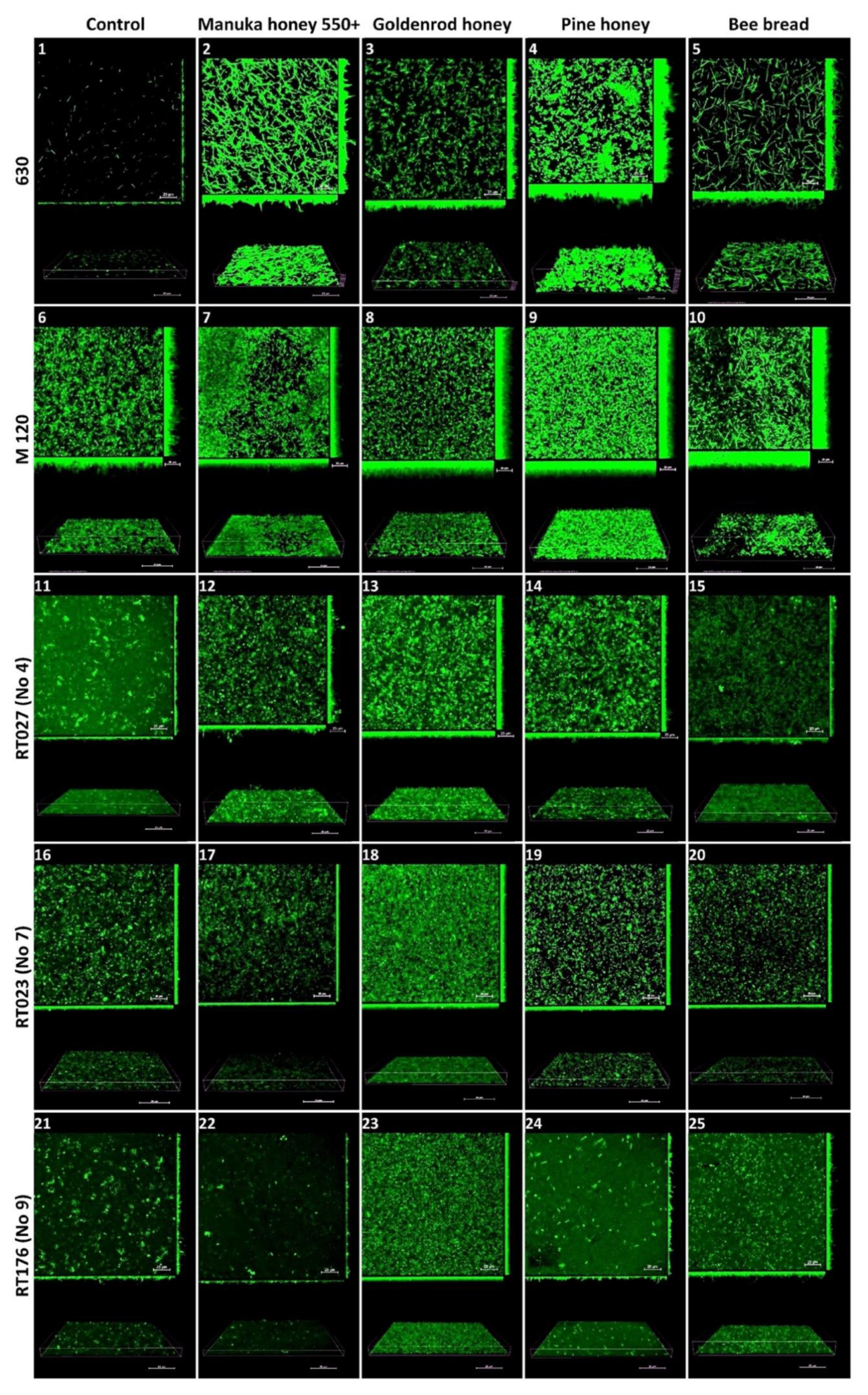 Molecules 27 07385 g002