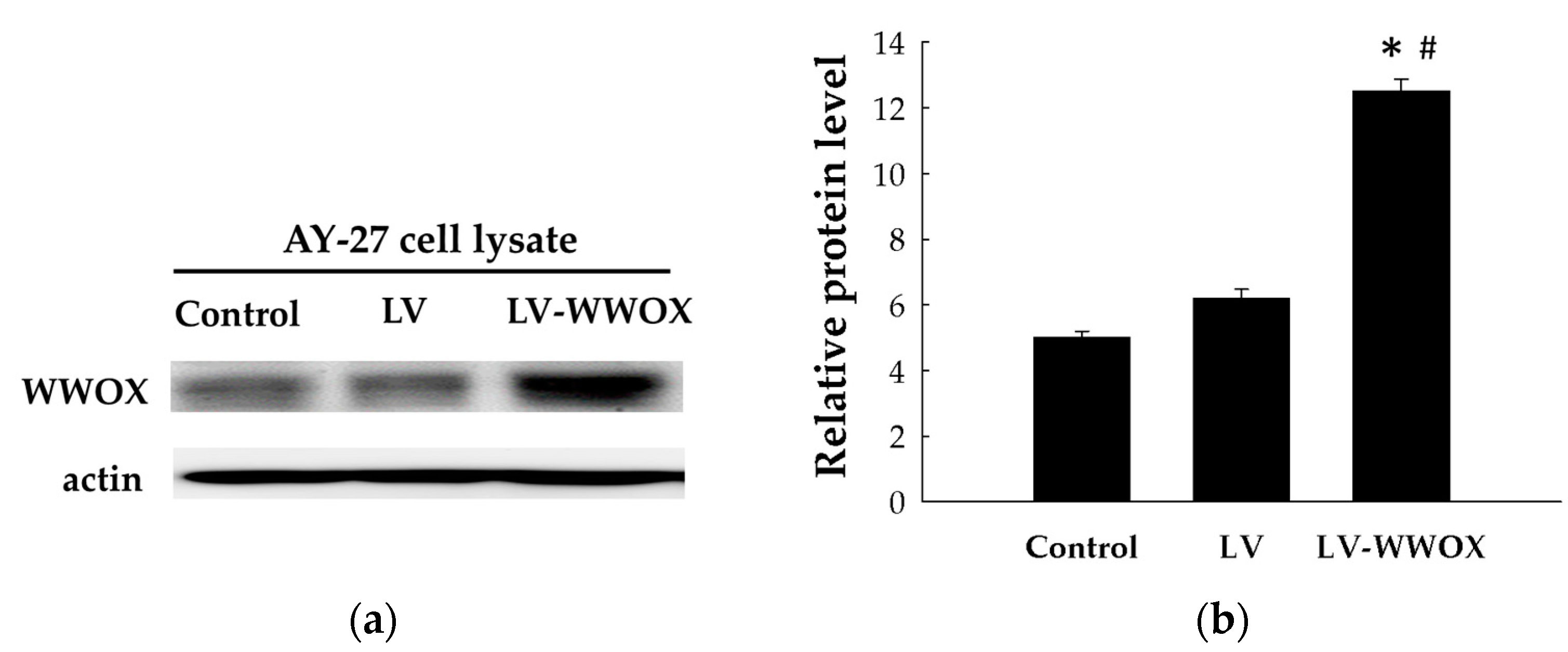 Molecules 27 07388 g001 Molecules 27 07388 g001