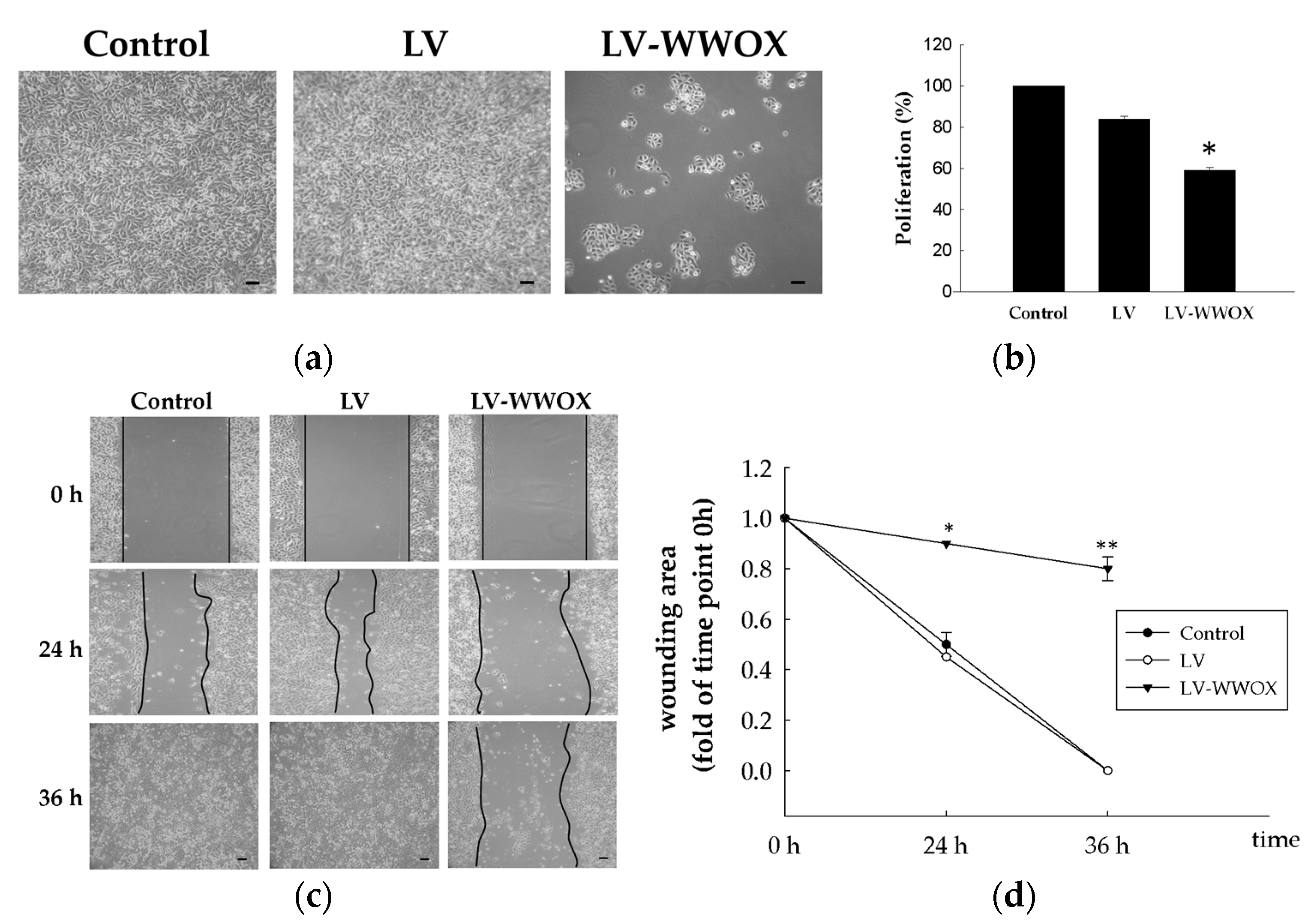 Molecules 27 07388 g002 Molecules 27 07388 g002