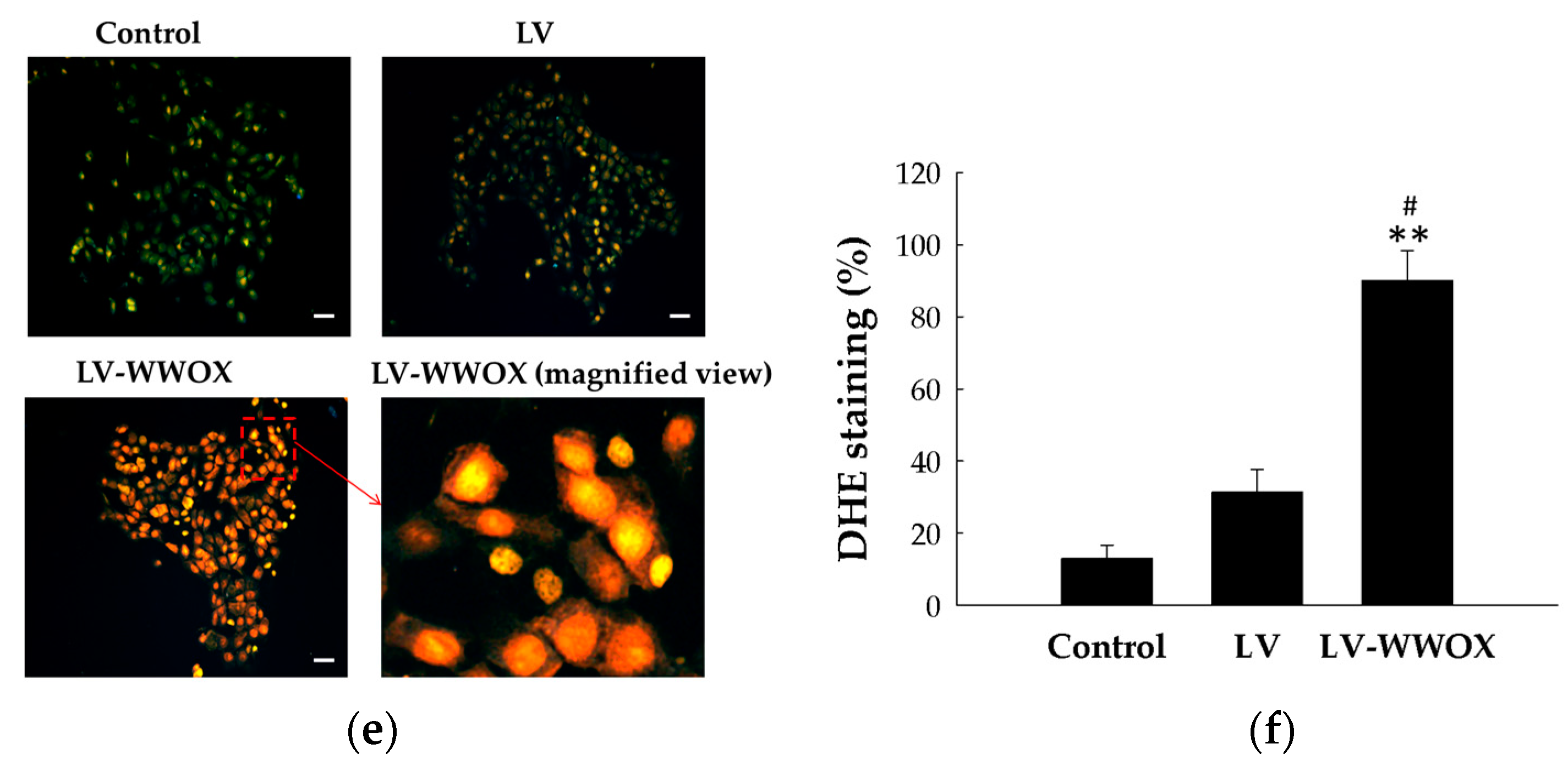 Molecules 27 07388 g003b Molecules 27 07388 g003b