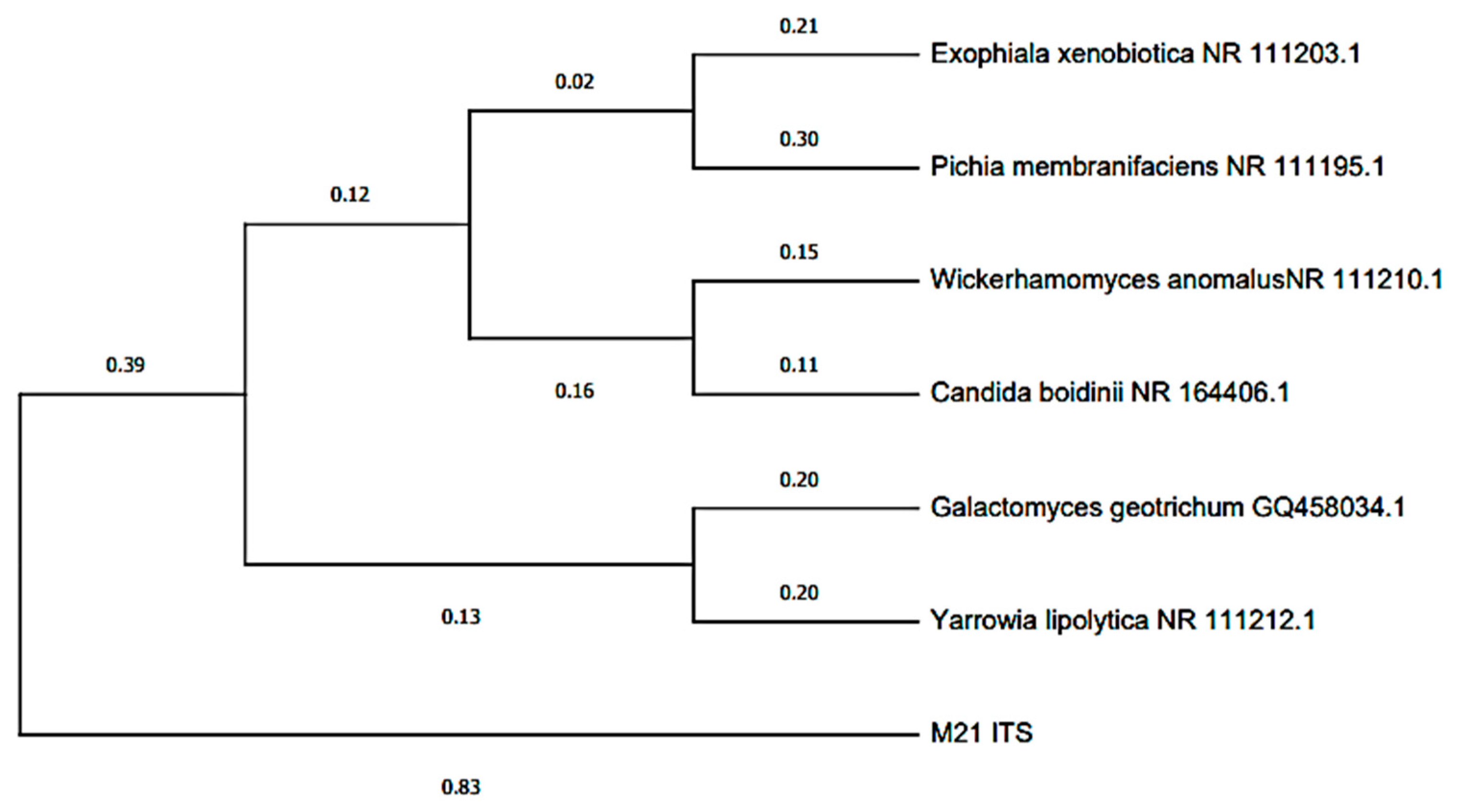Molecules 27 07389 g005 Molecules 27 07389 g005