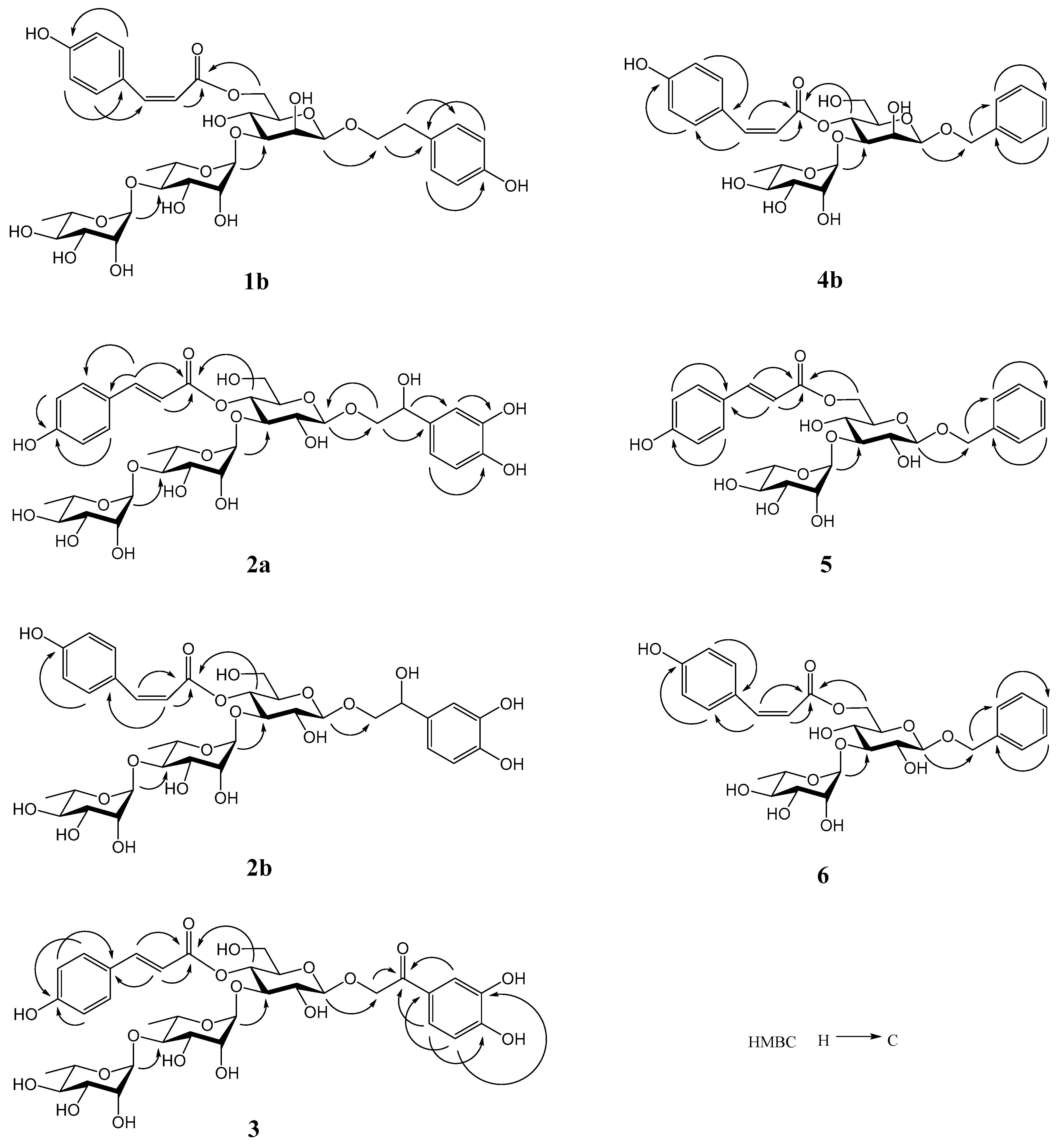 Molecules 27 07390 g002 Molecules 27 07390 g002