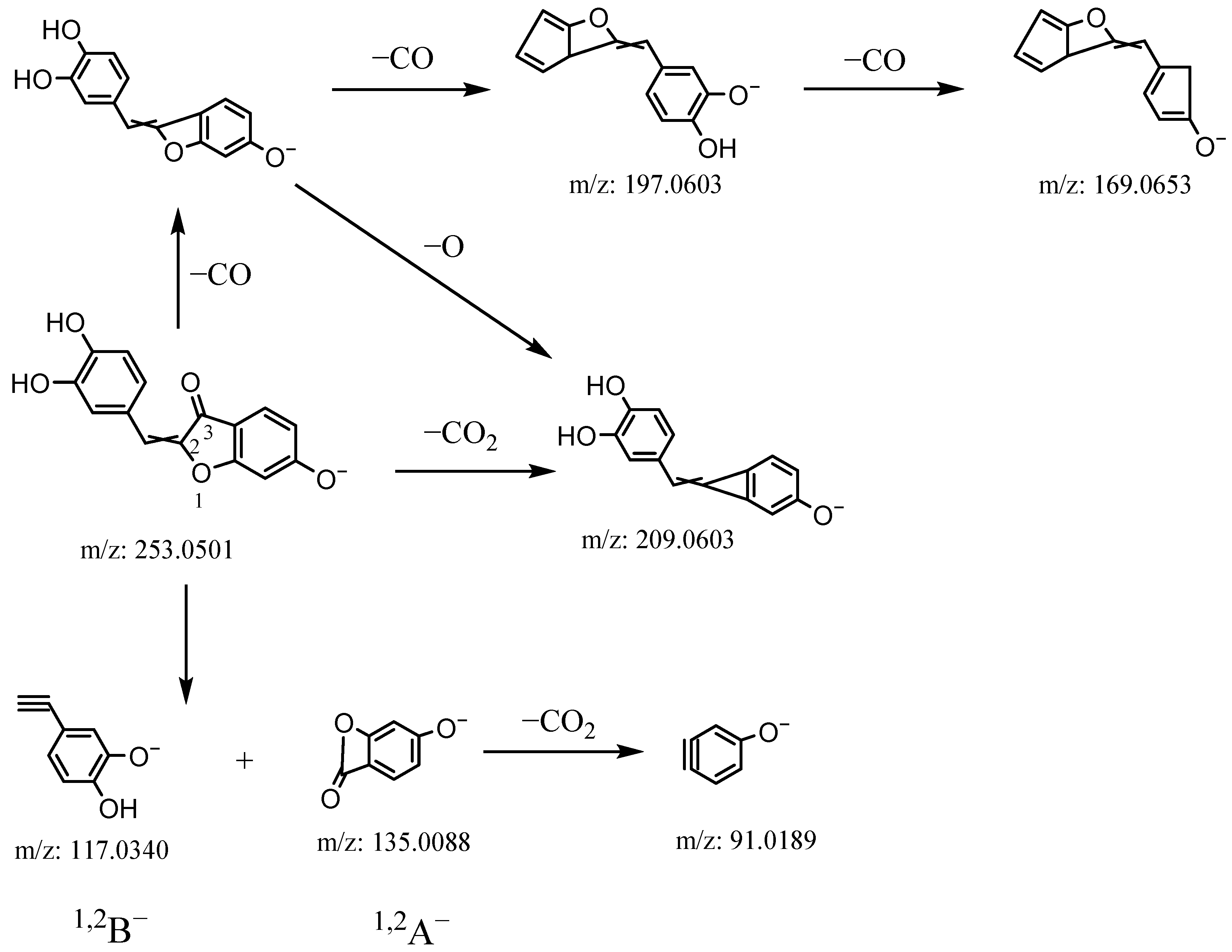 Molecules 27 07398 g004