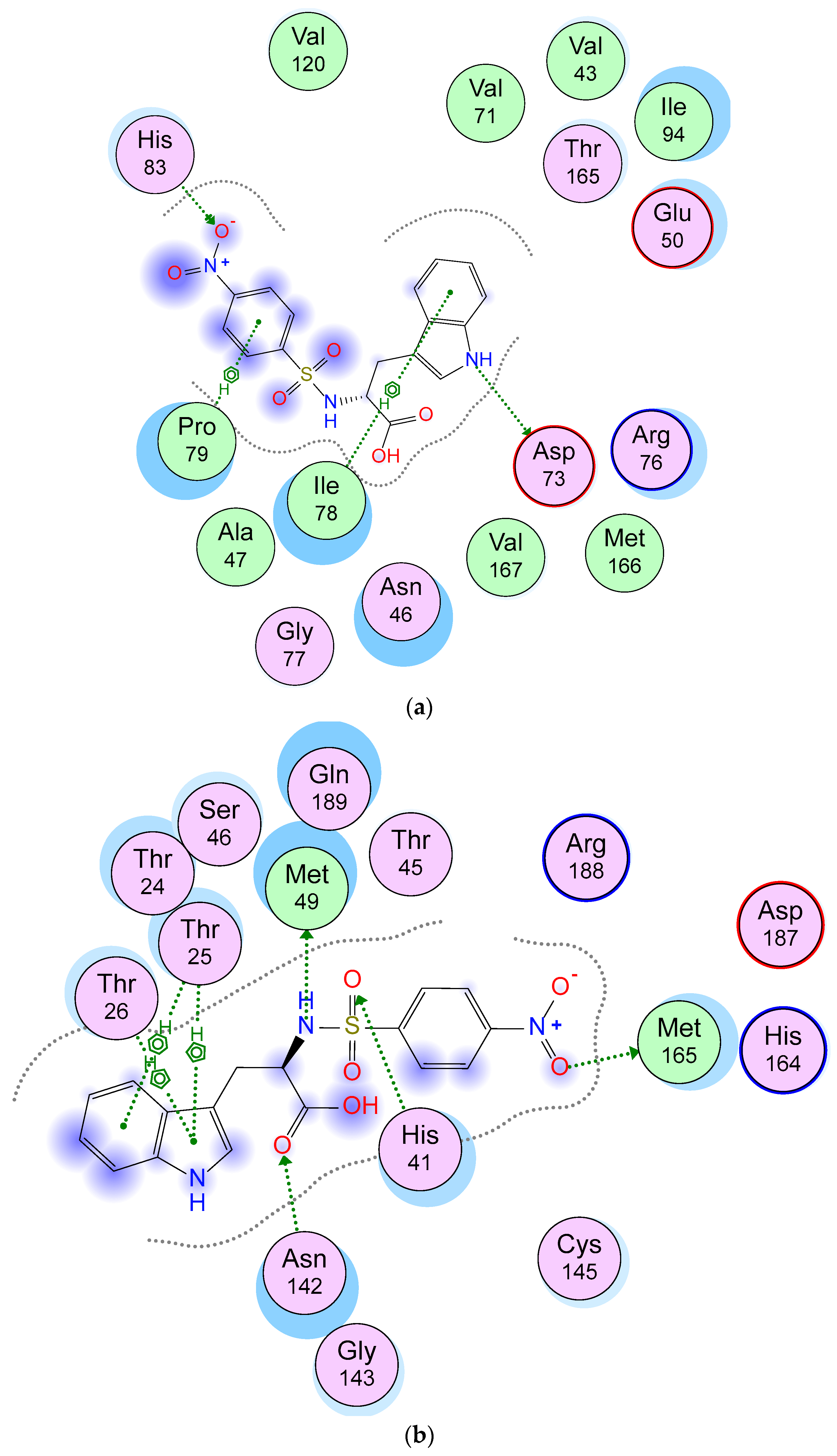 Molecules 27 07400 g006