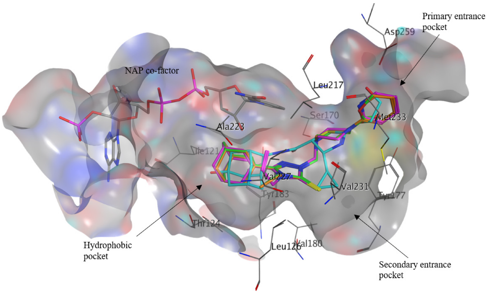 Molecules 27 07403 g011