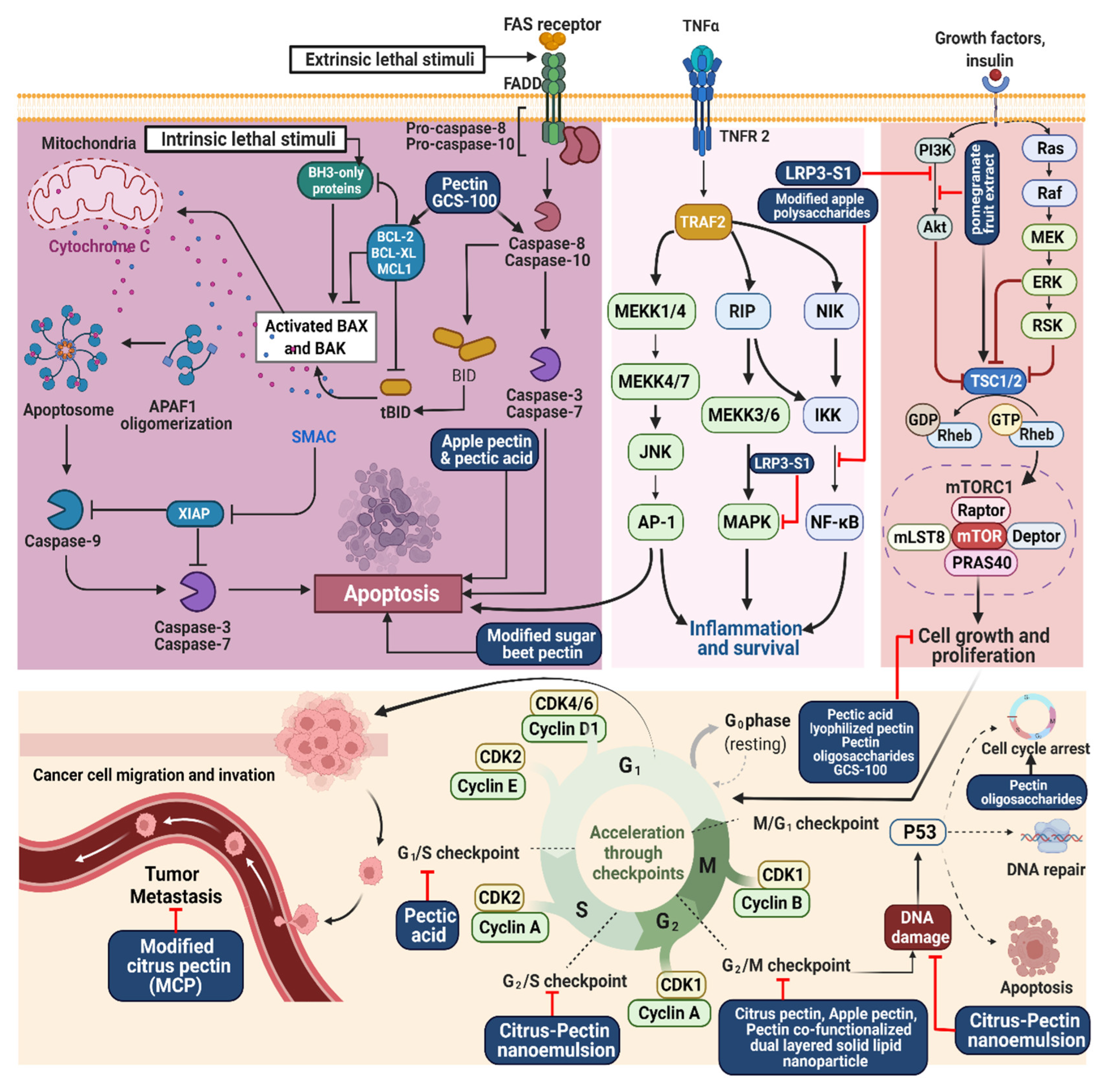 Molecules 27 07405 g002