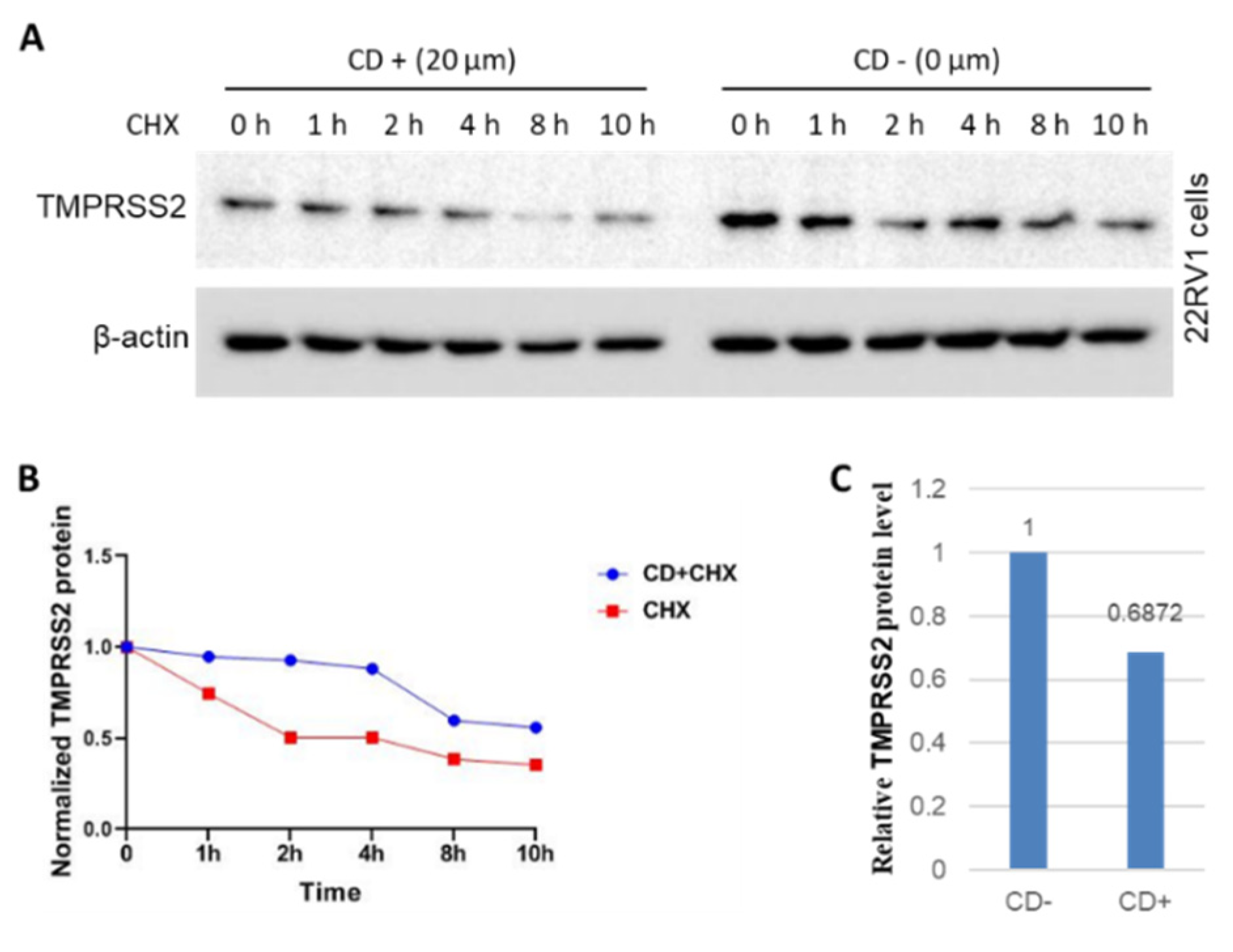 Molecules 27 07413 g006