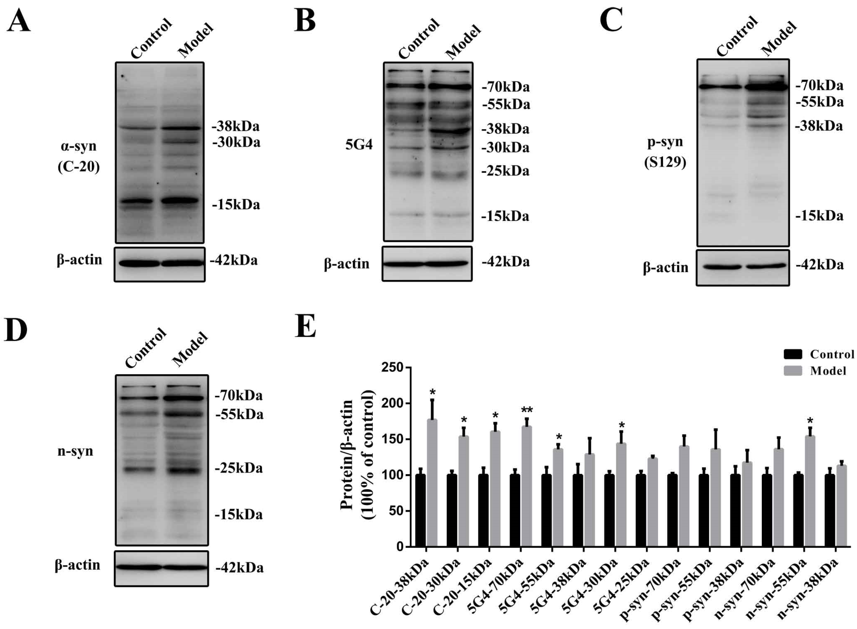 Molecules 27 07414 g002