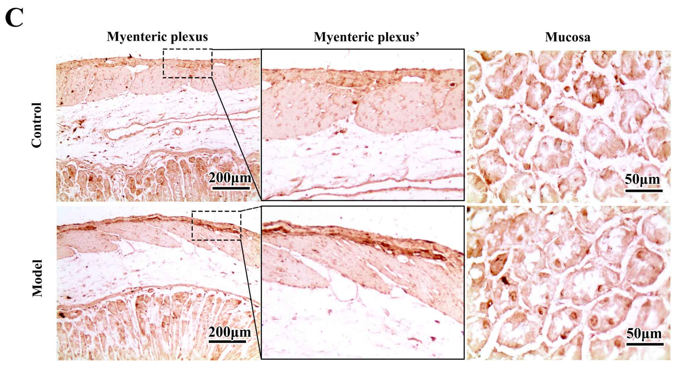 Molecules 27 07414 g003b